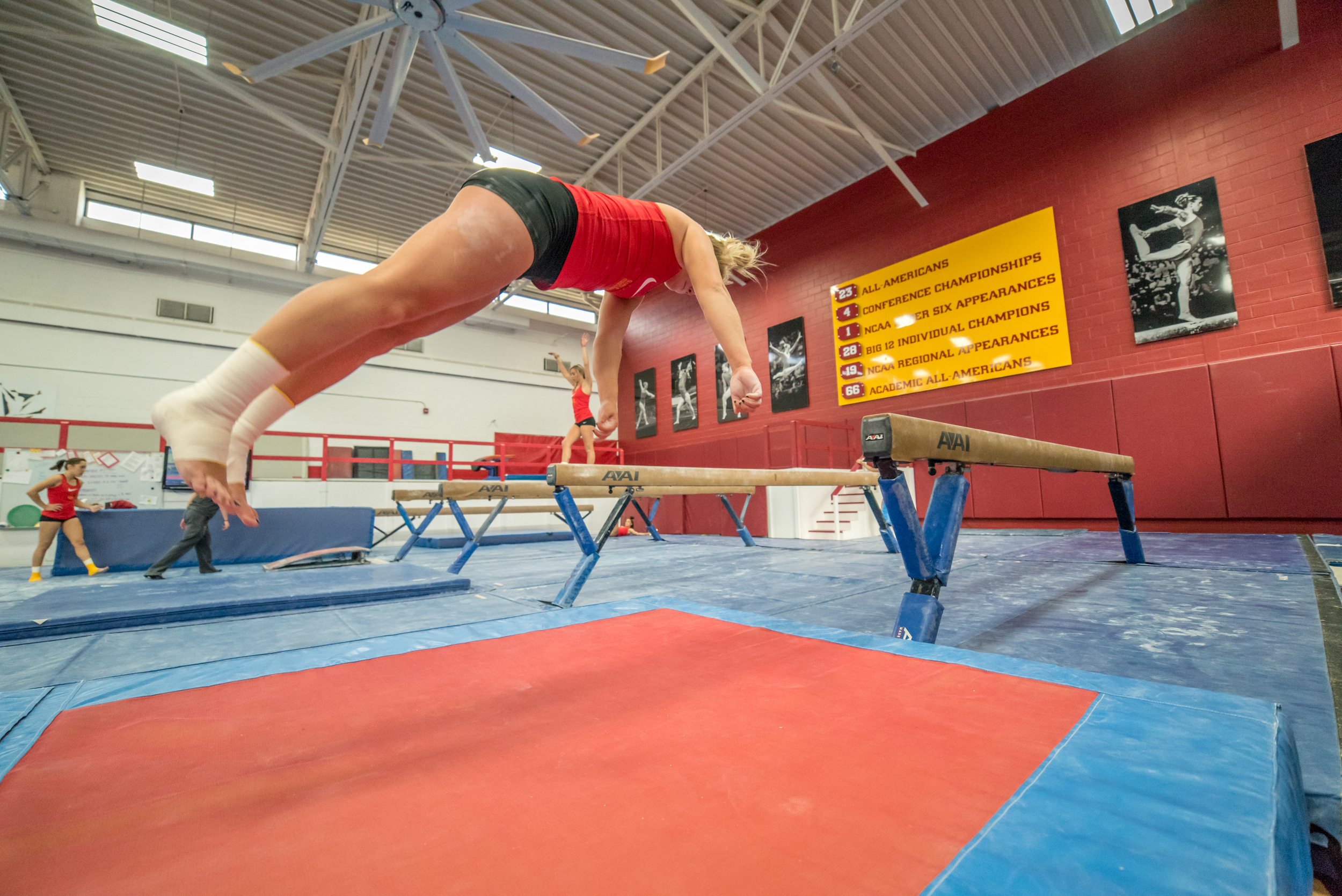 Haylee Young ISU Gymnastics-11.jpg
