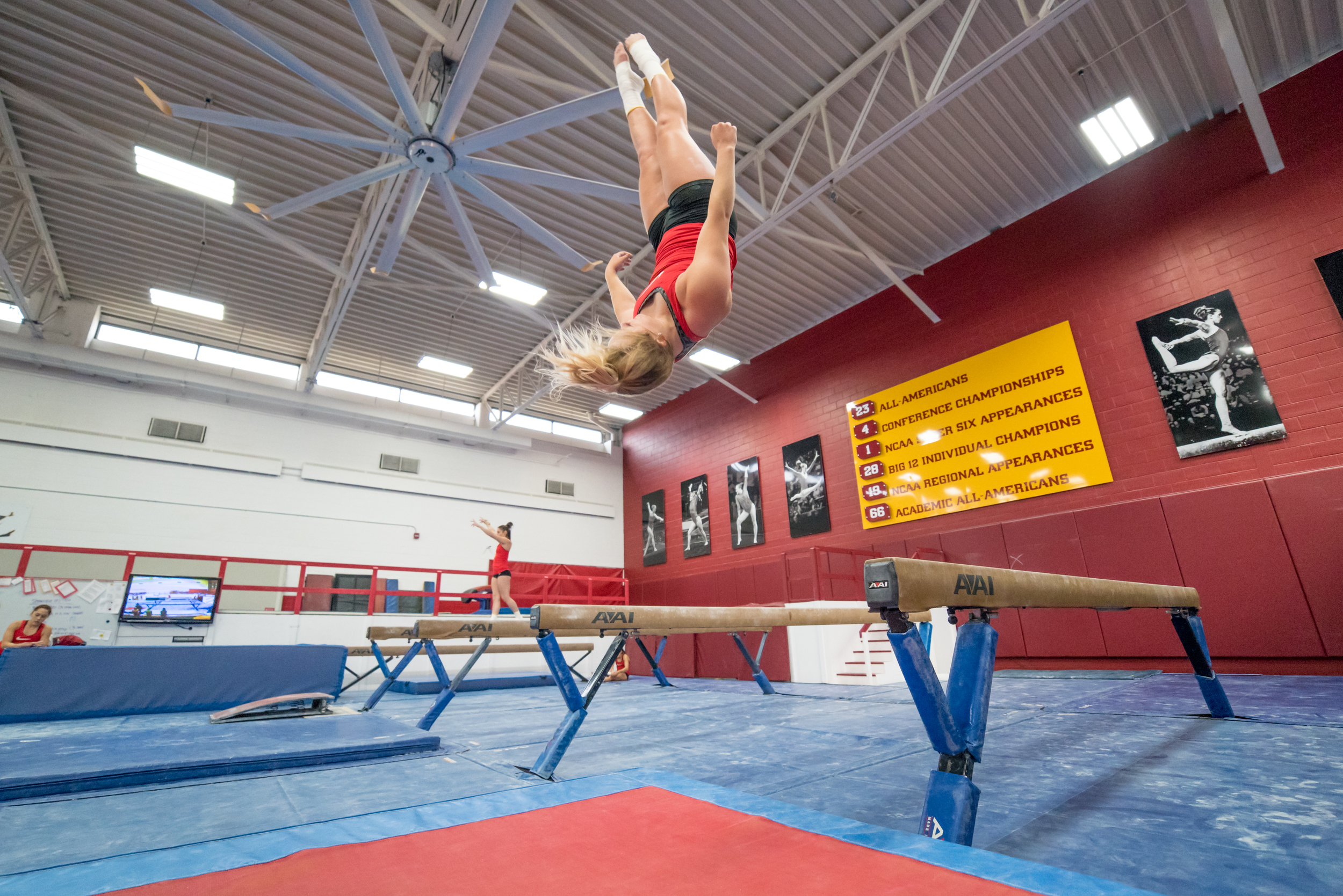 Haylee Young ISU Gymnastics-17.jpg