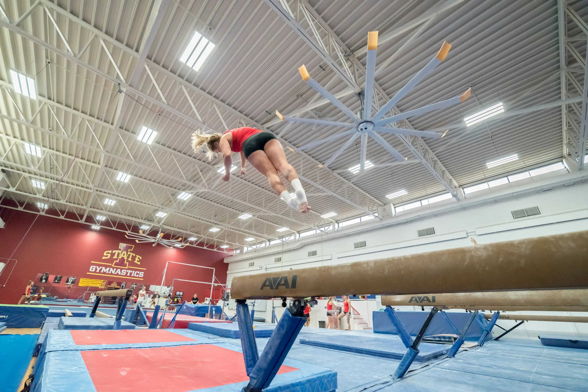 Haylee Young ISU Gymnastics-28.jpg