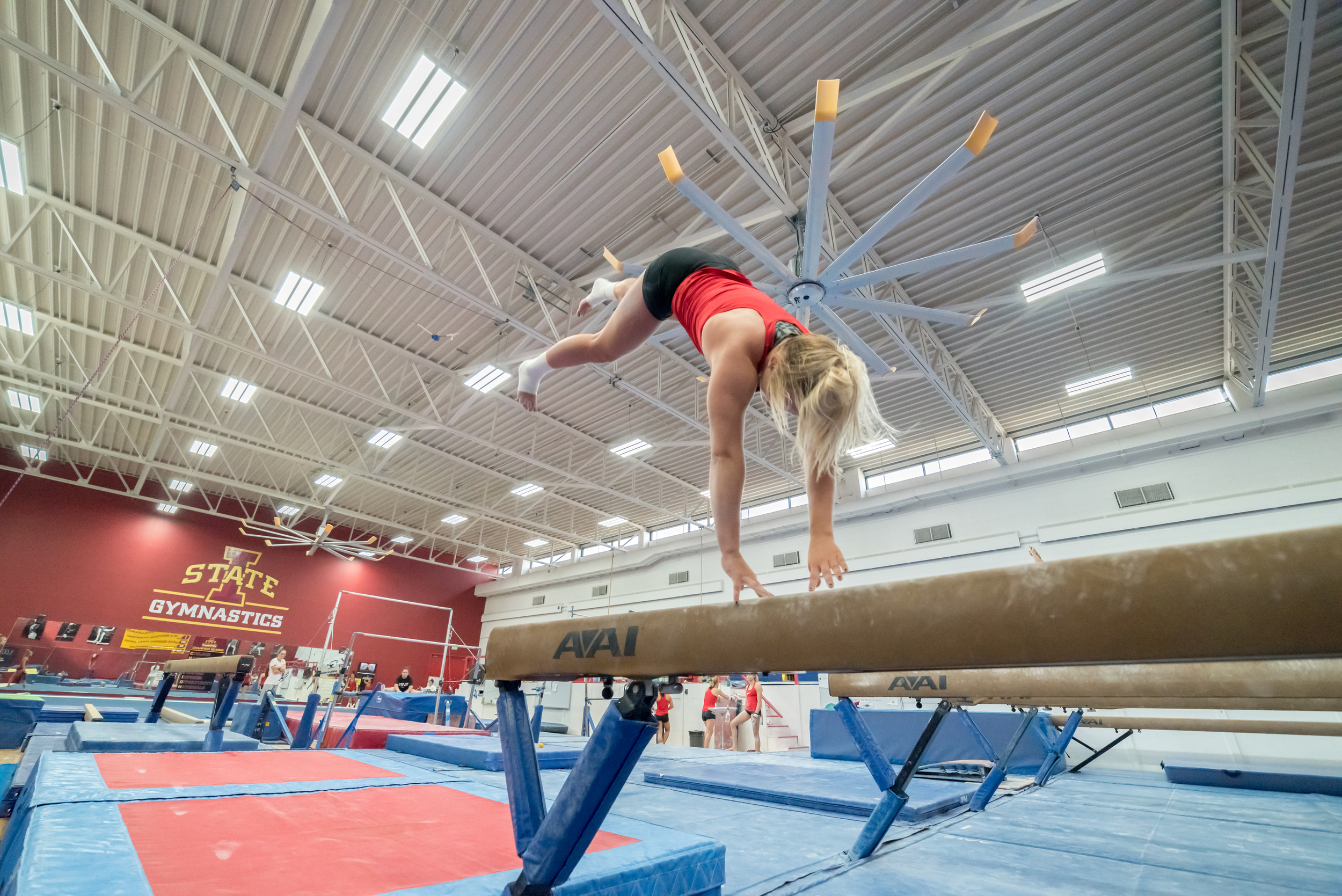 Haylee Young ISU Gymnastics-30.jpg