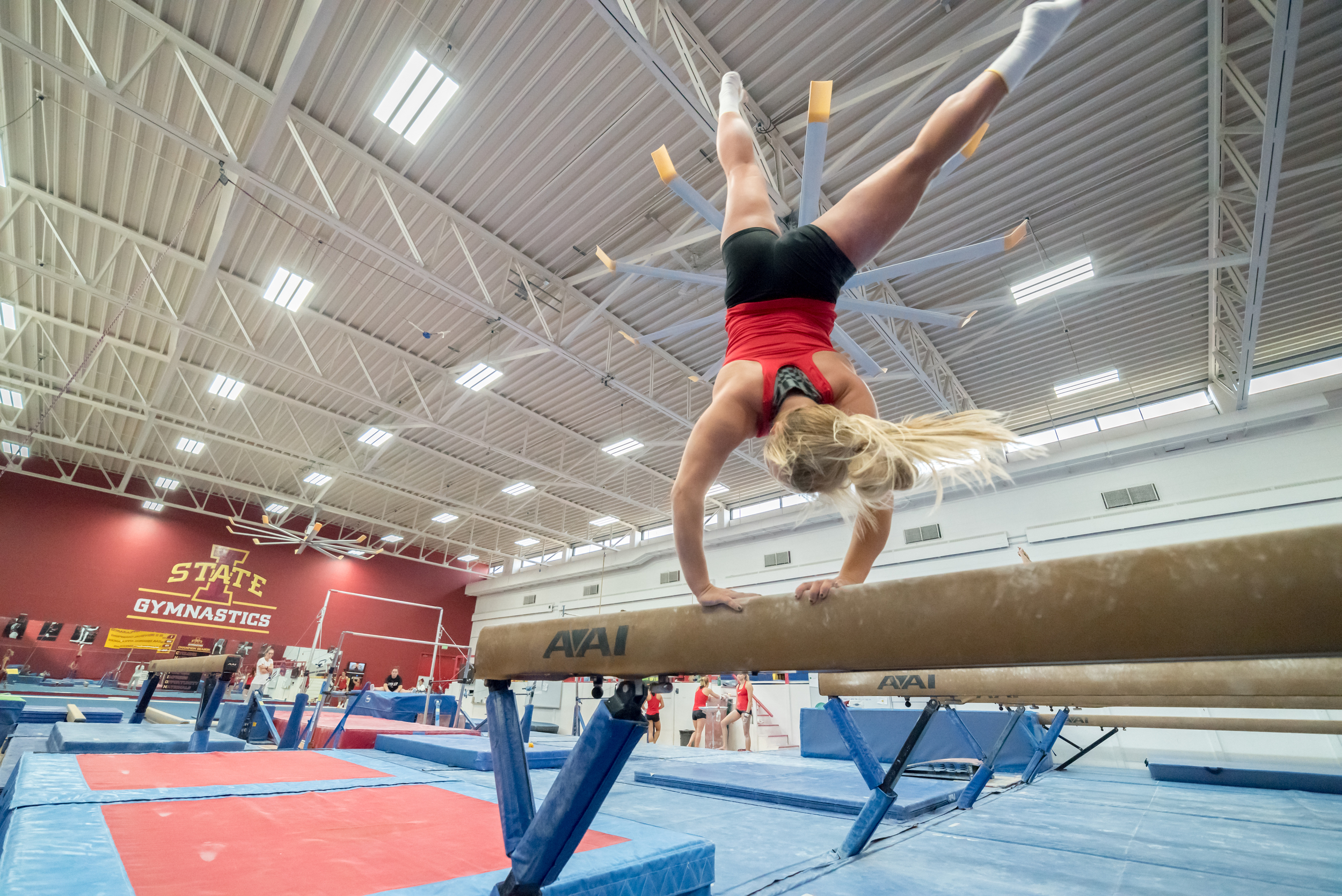 Haylee Young ISU Gymnastics-31.jpg