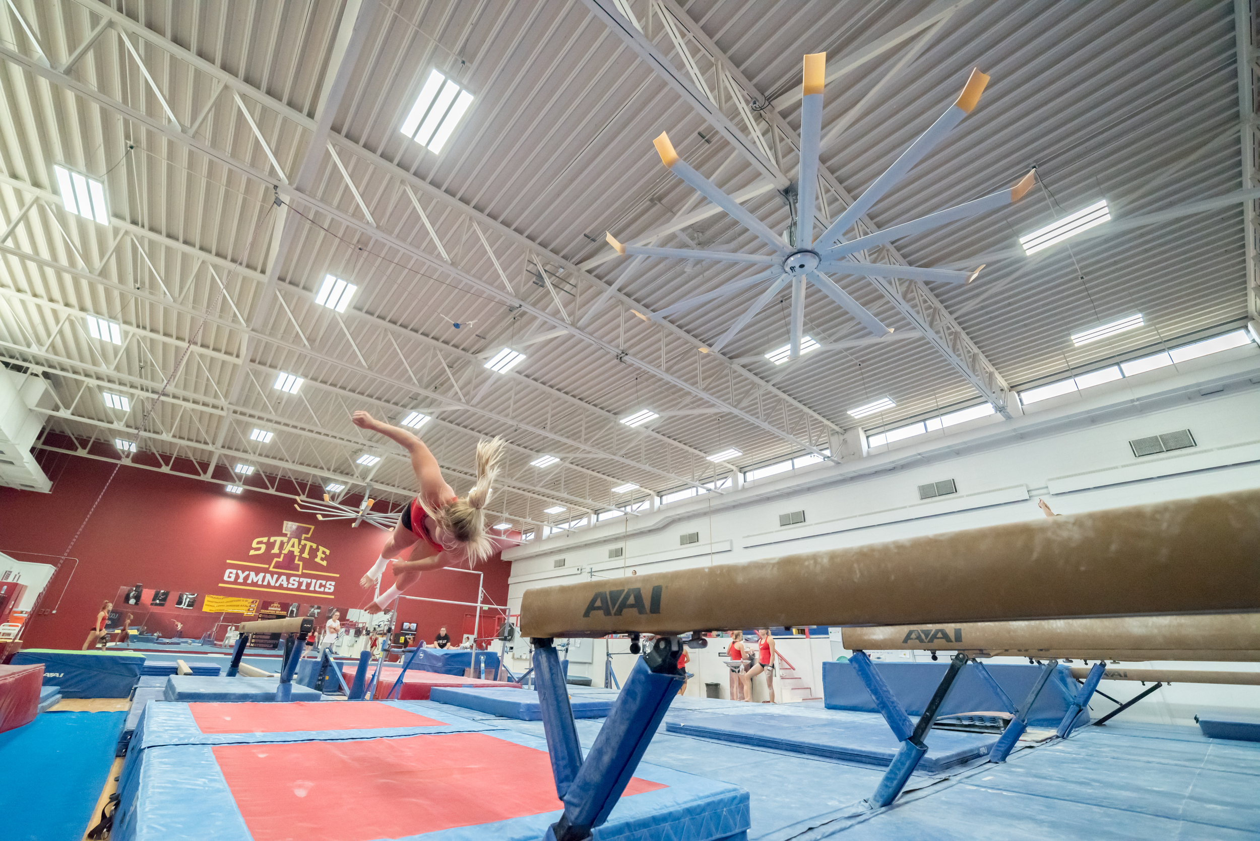 Haylee Young ISU Gymnastics-32.jpg