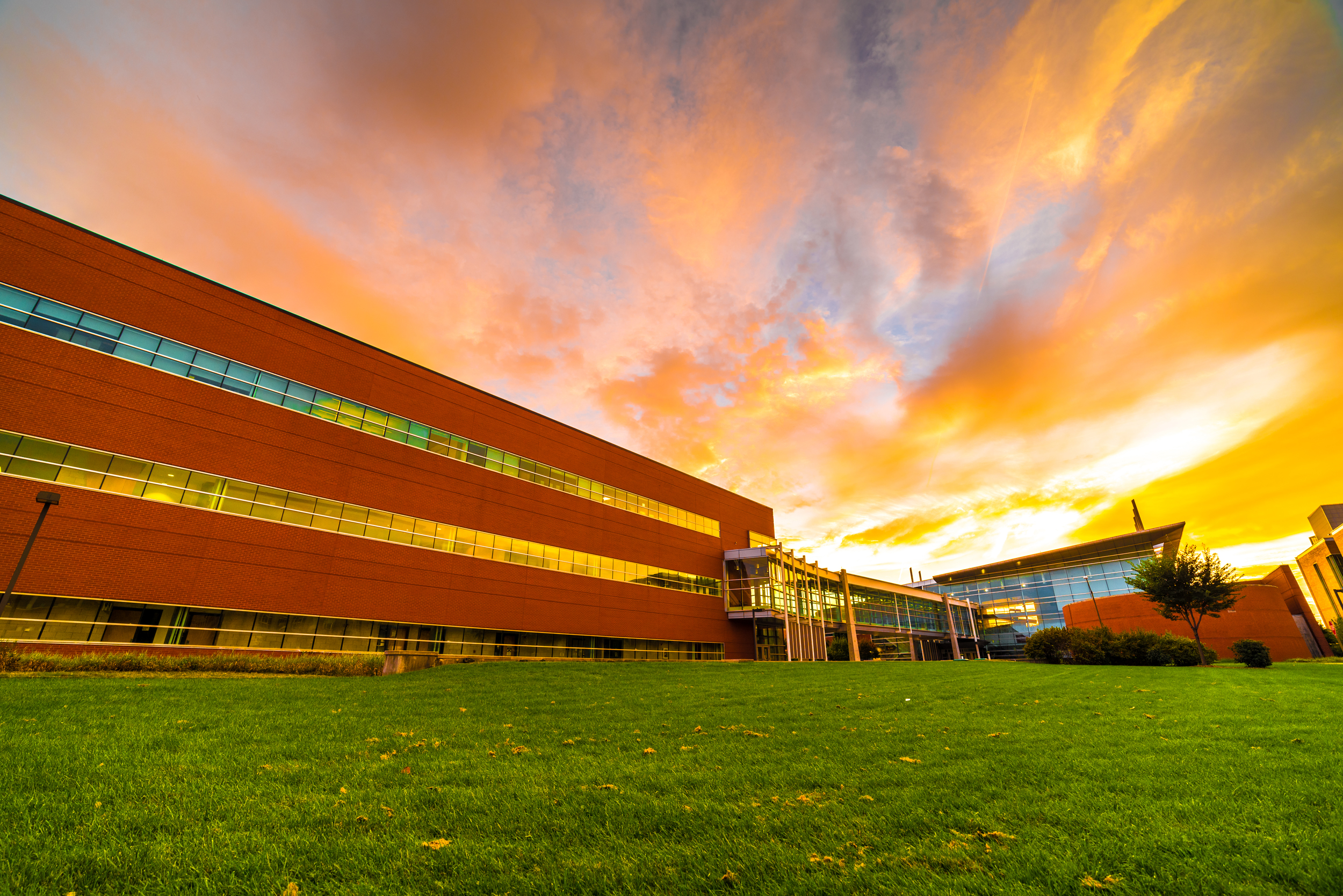 Example shot at sunset with the Rokinon 14mm.