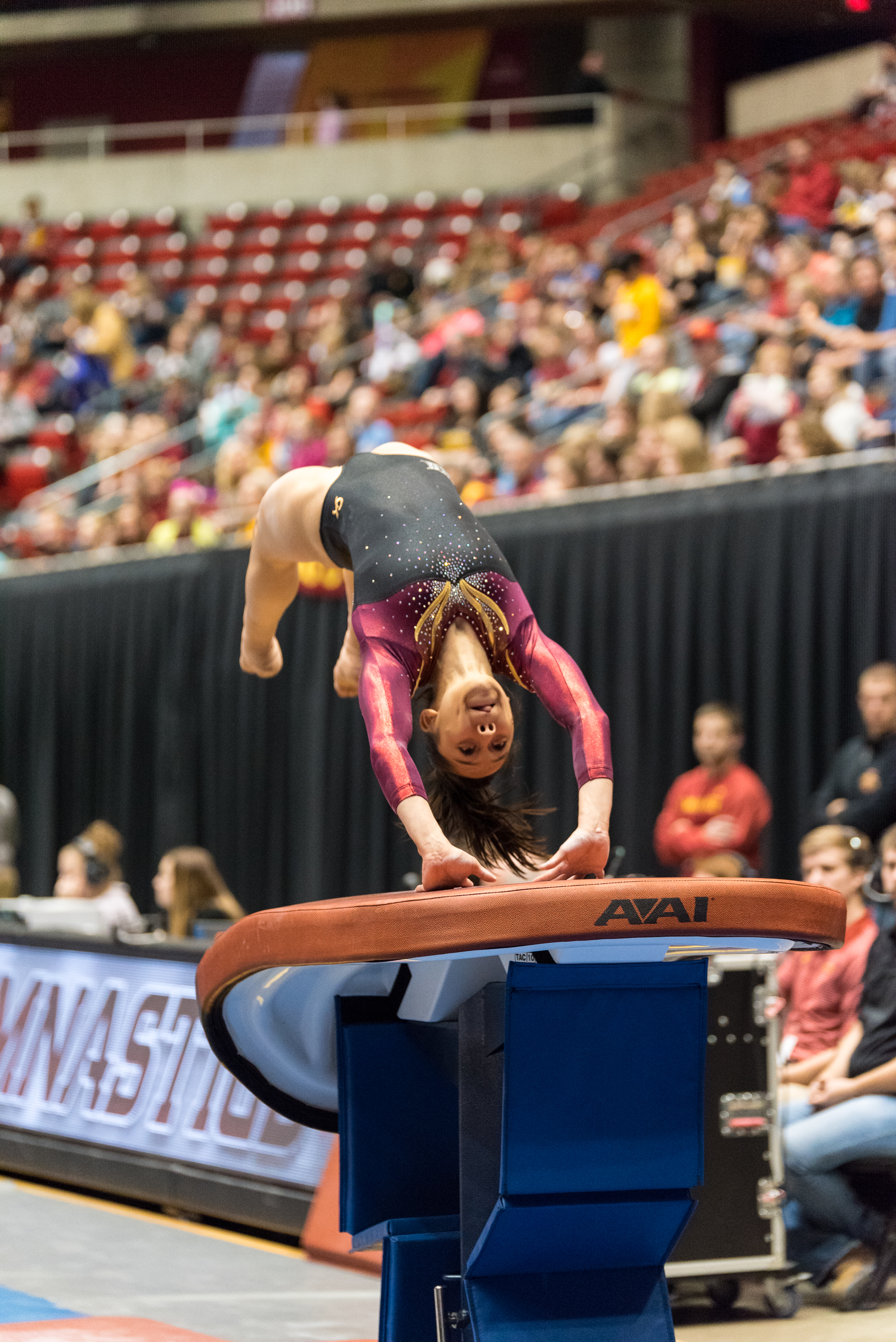 ISU Gymnastics vs Iowa-12.jpg