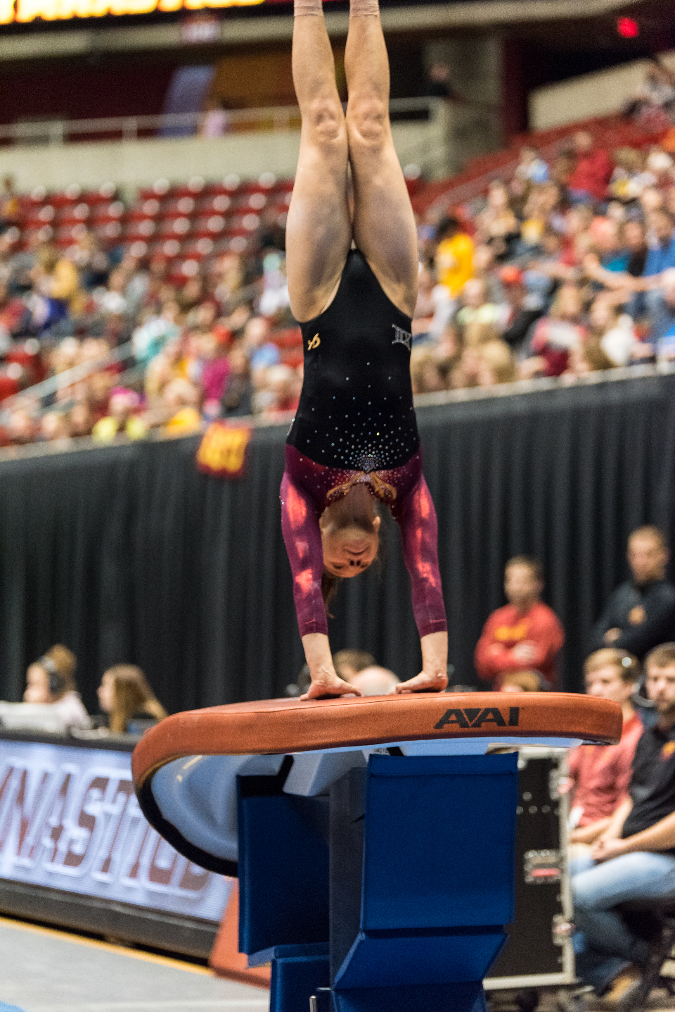 ISU Gymnastics vs Iowa-13.jpg