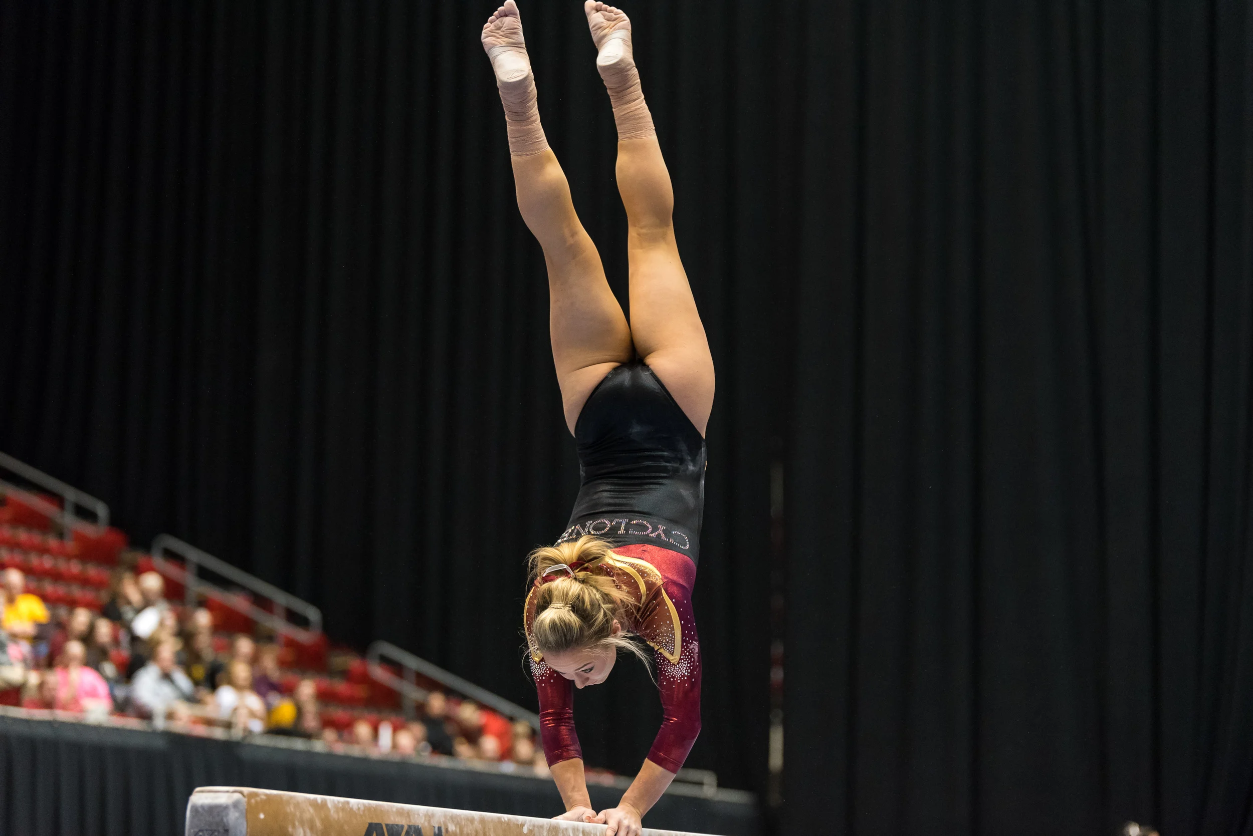 ISU Gymnastics vs Iowa-42.jpg