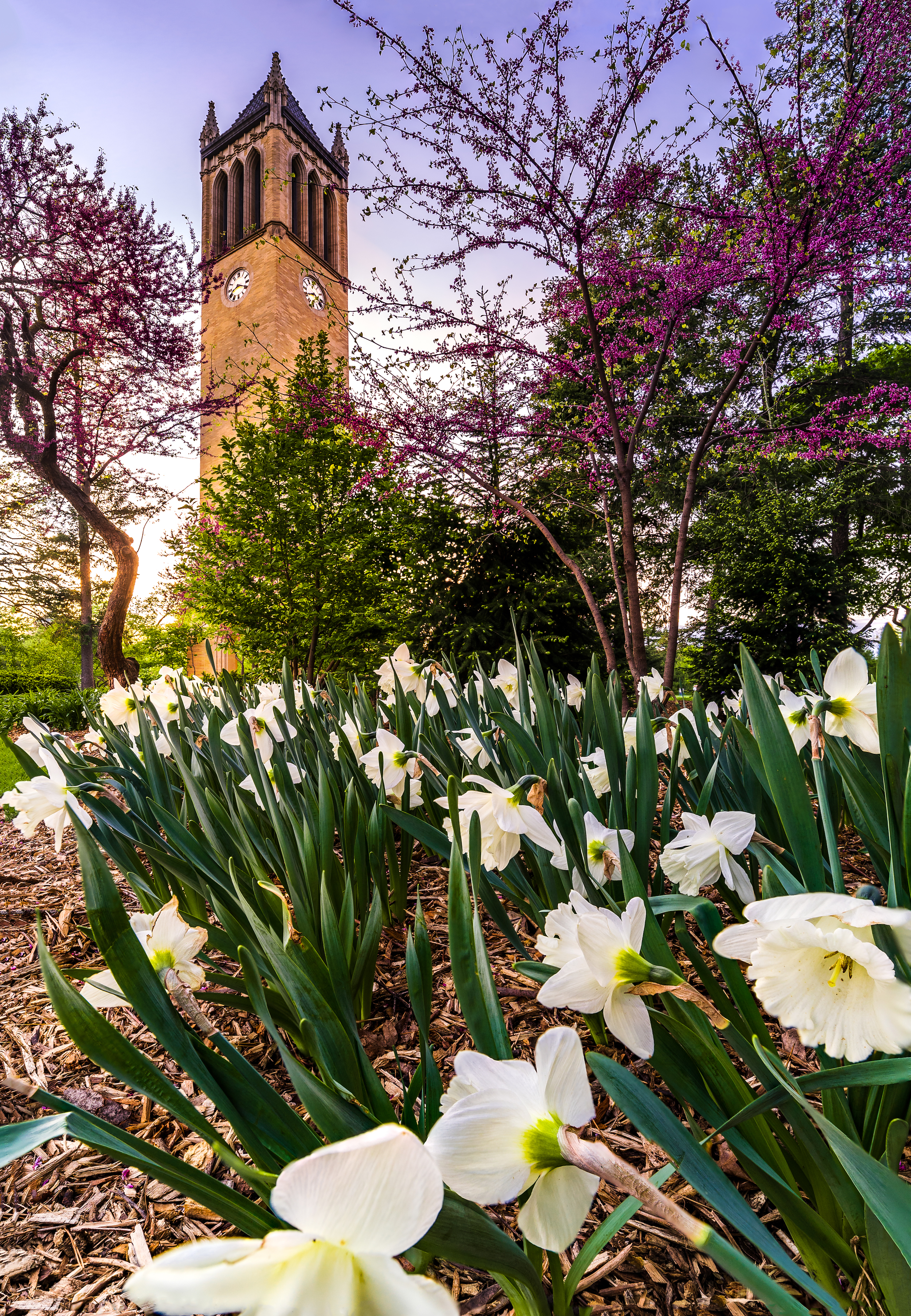 ISU Campanile 