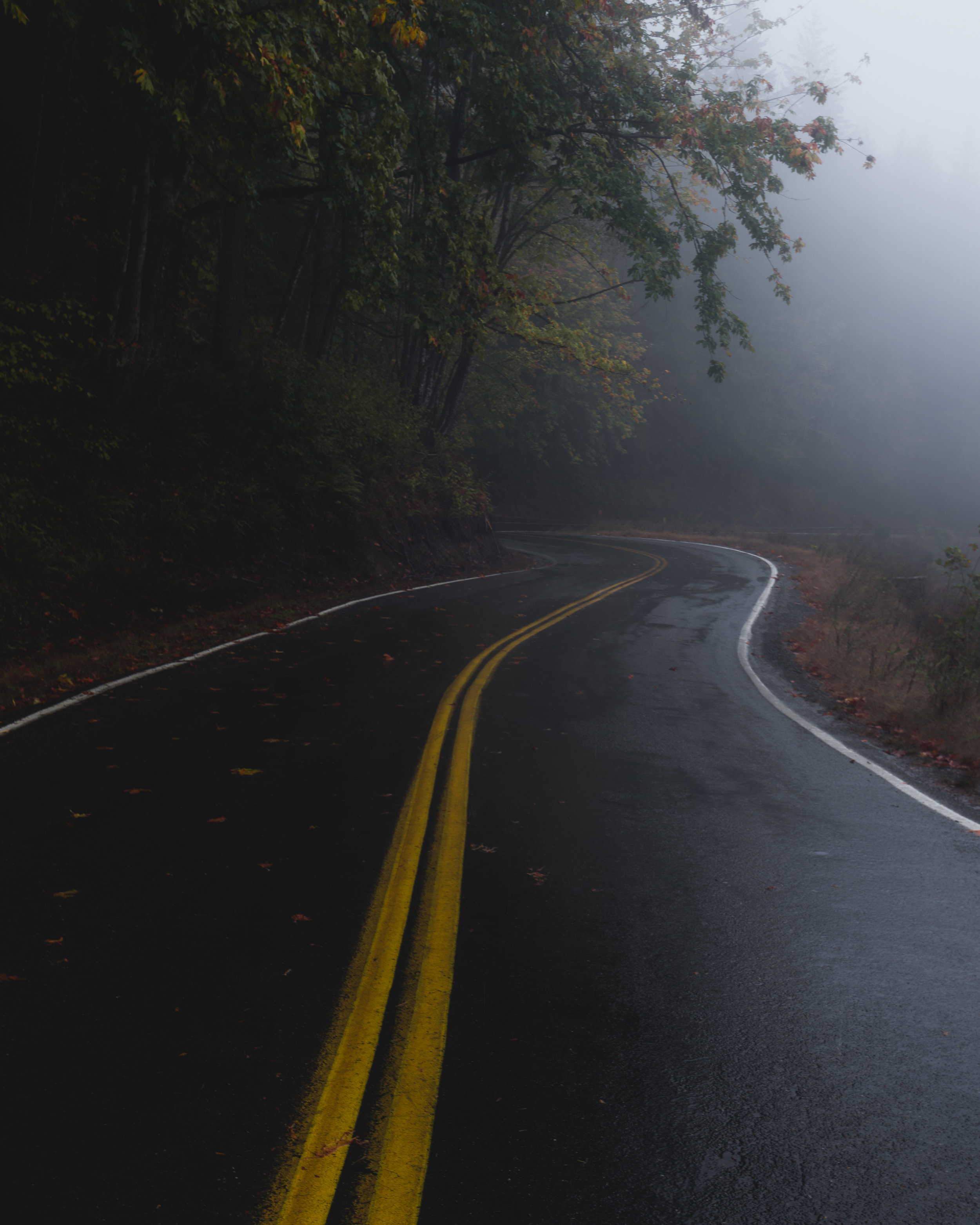 The fog and low clouds creeping across the pass and Old Cornelius Pass Hwy.