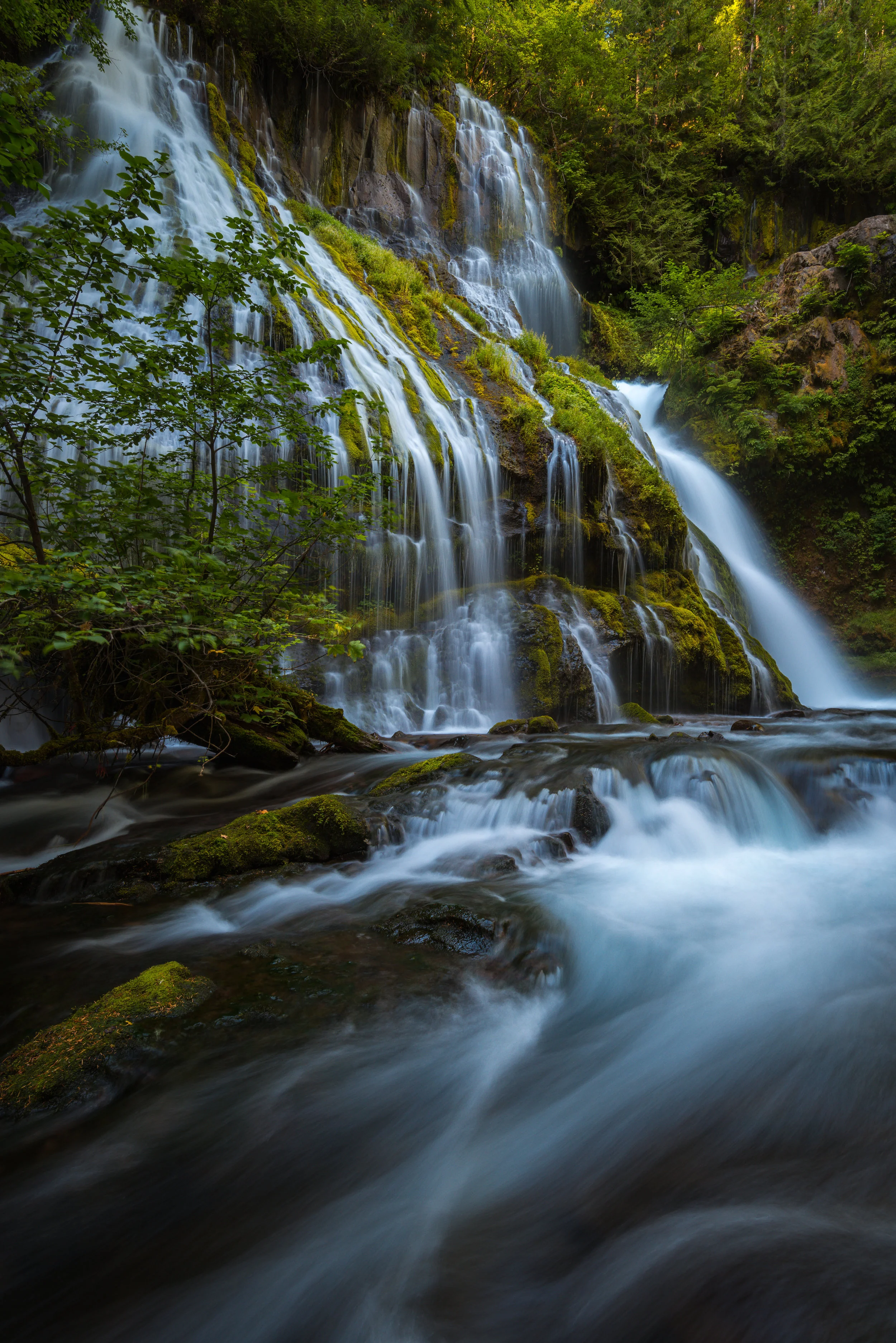 The portfolio piece I captured of Panther Creek Falls once the right conditions finally presented themselves.