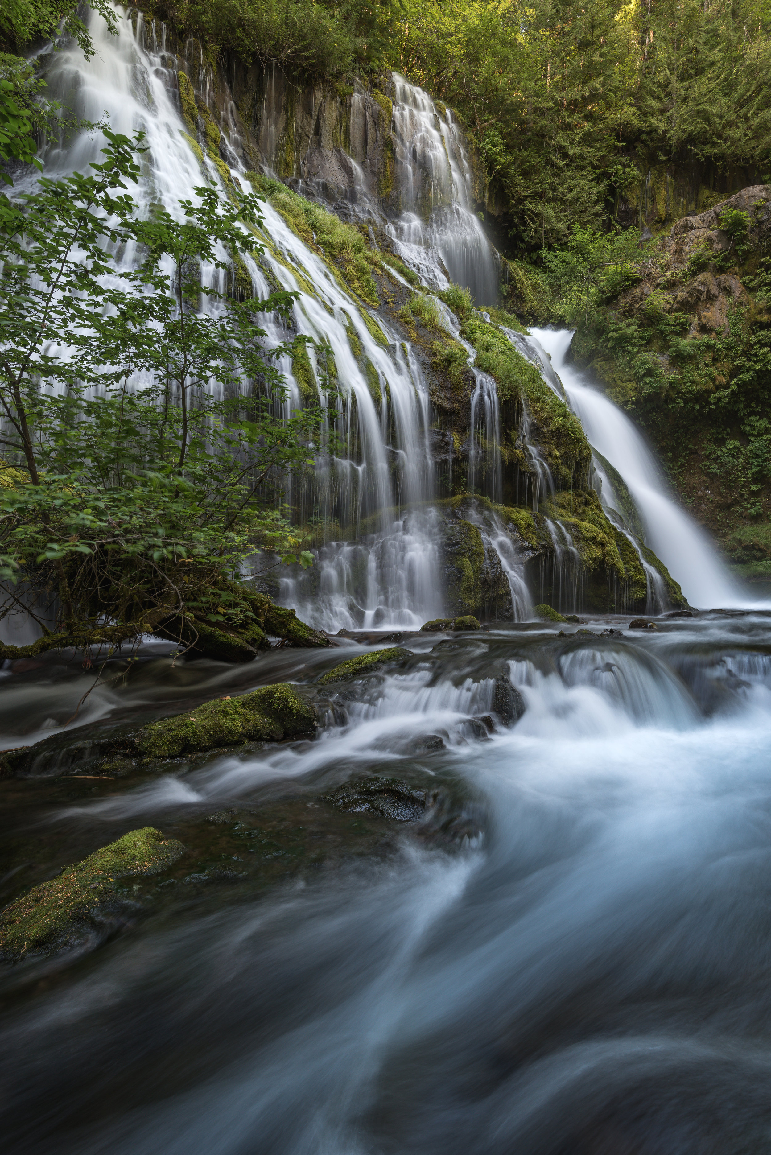 Panther Creek Falls