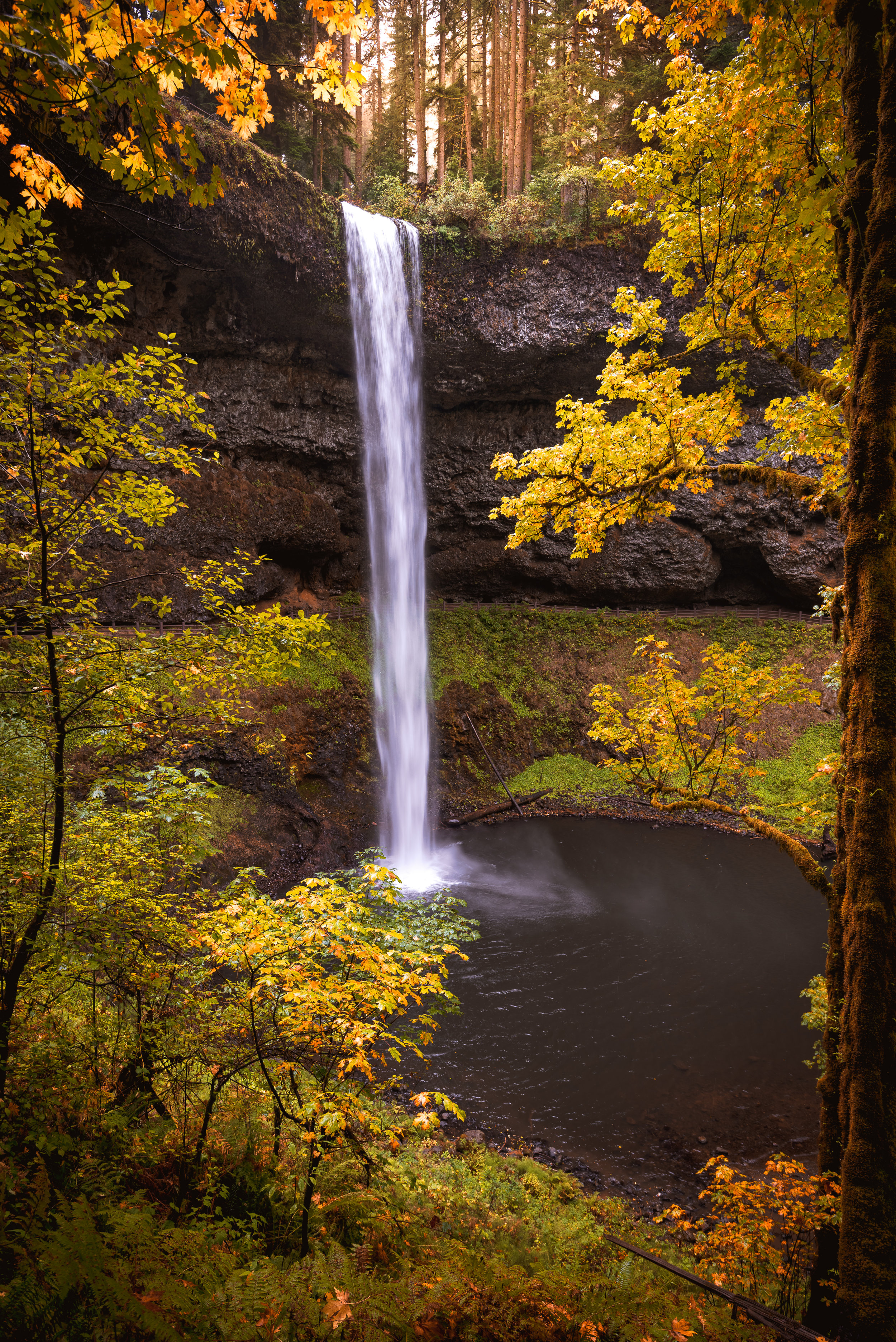 Fall Silver Falls 