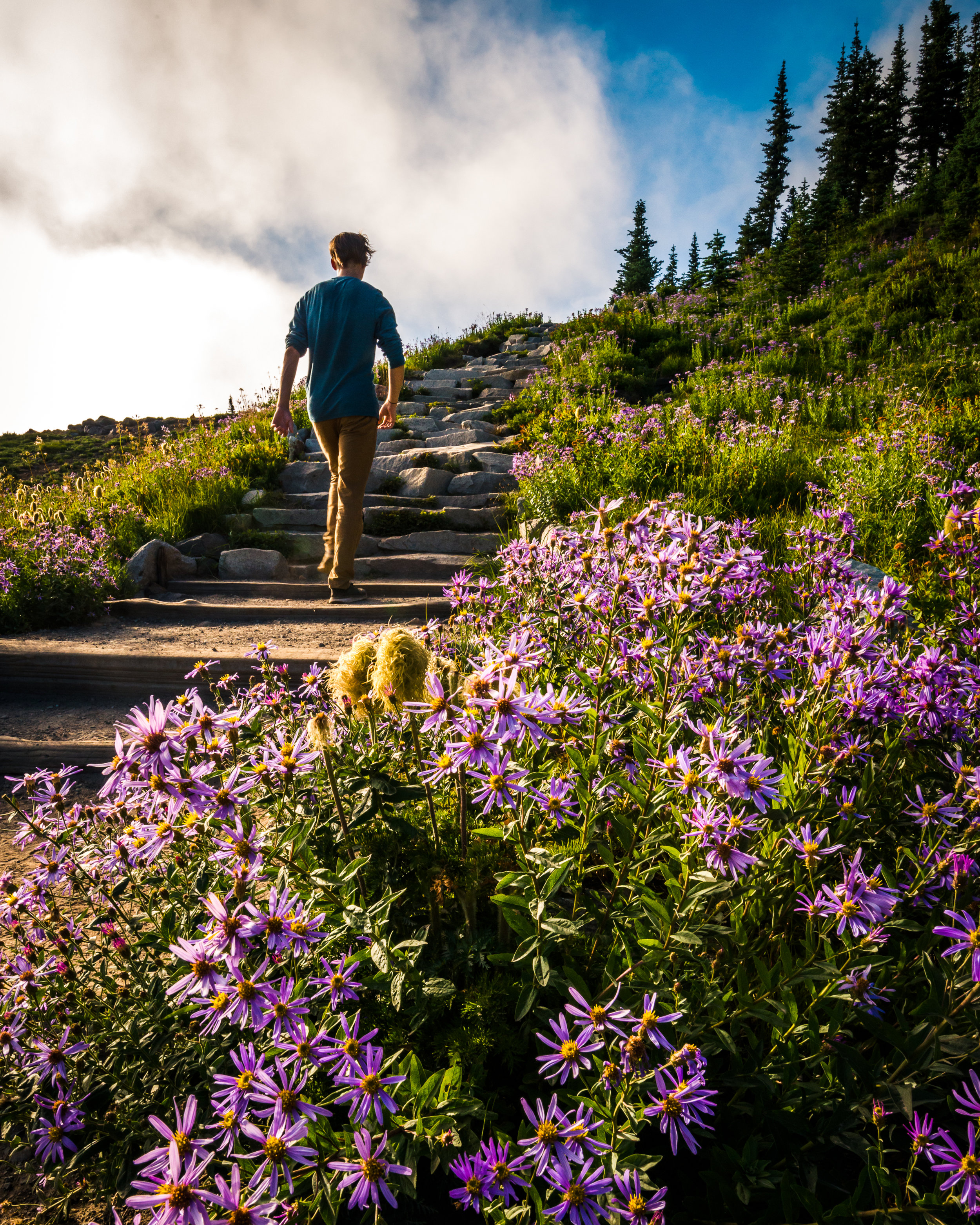 Mt. Rainier has amazing trails for its large number of visitors to hike.