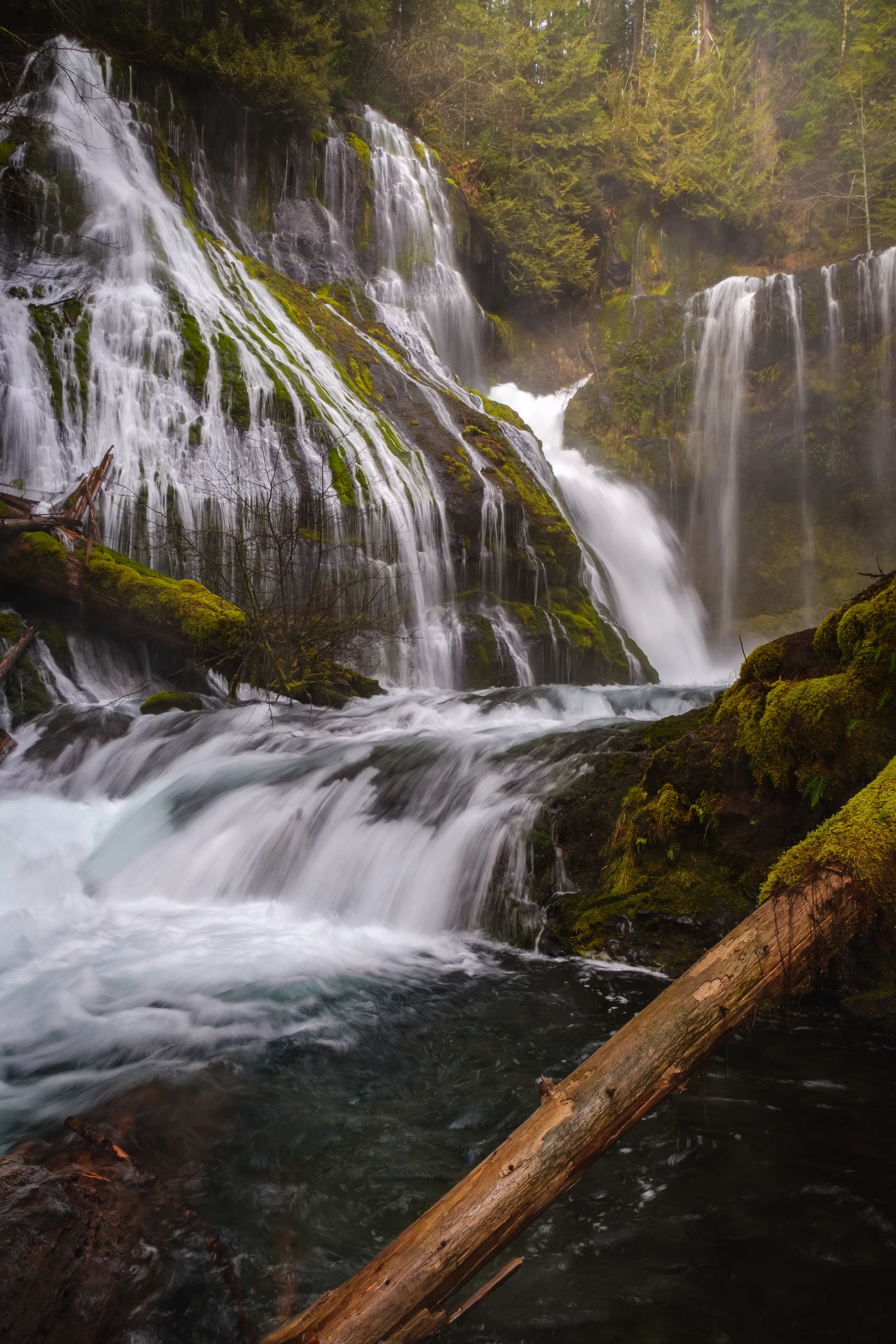 Panther Creek Falls