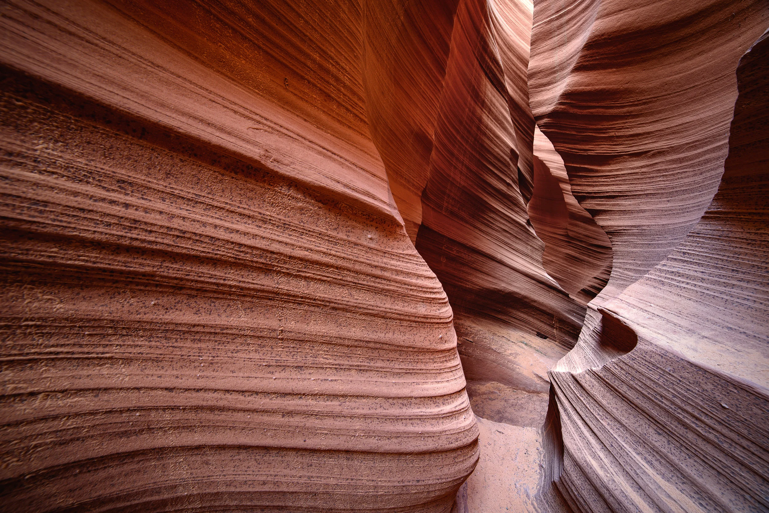rattlesnake canyon