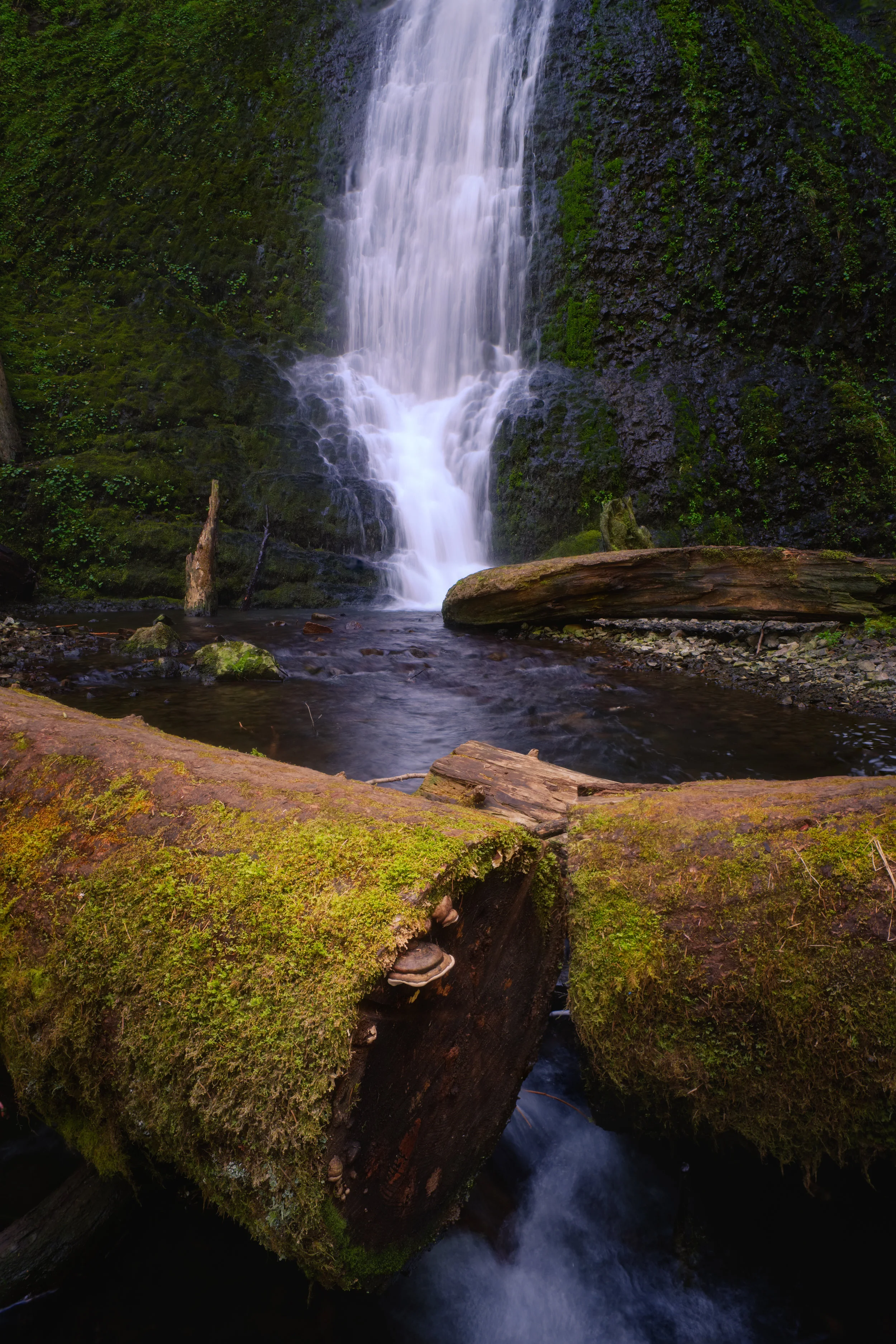 winter falls silver falls state park Oregon