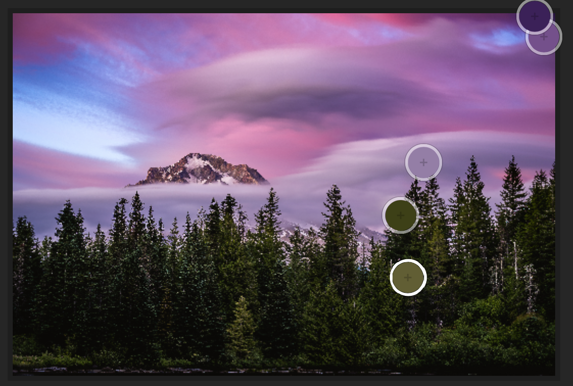 One more example of a complimentary color combination using green and purple.