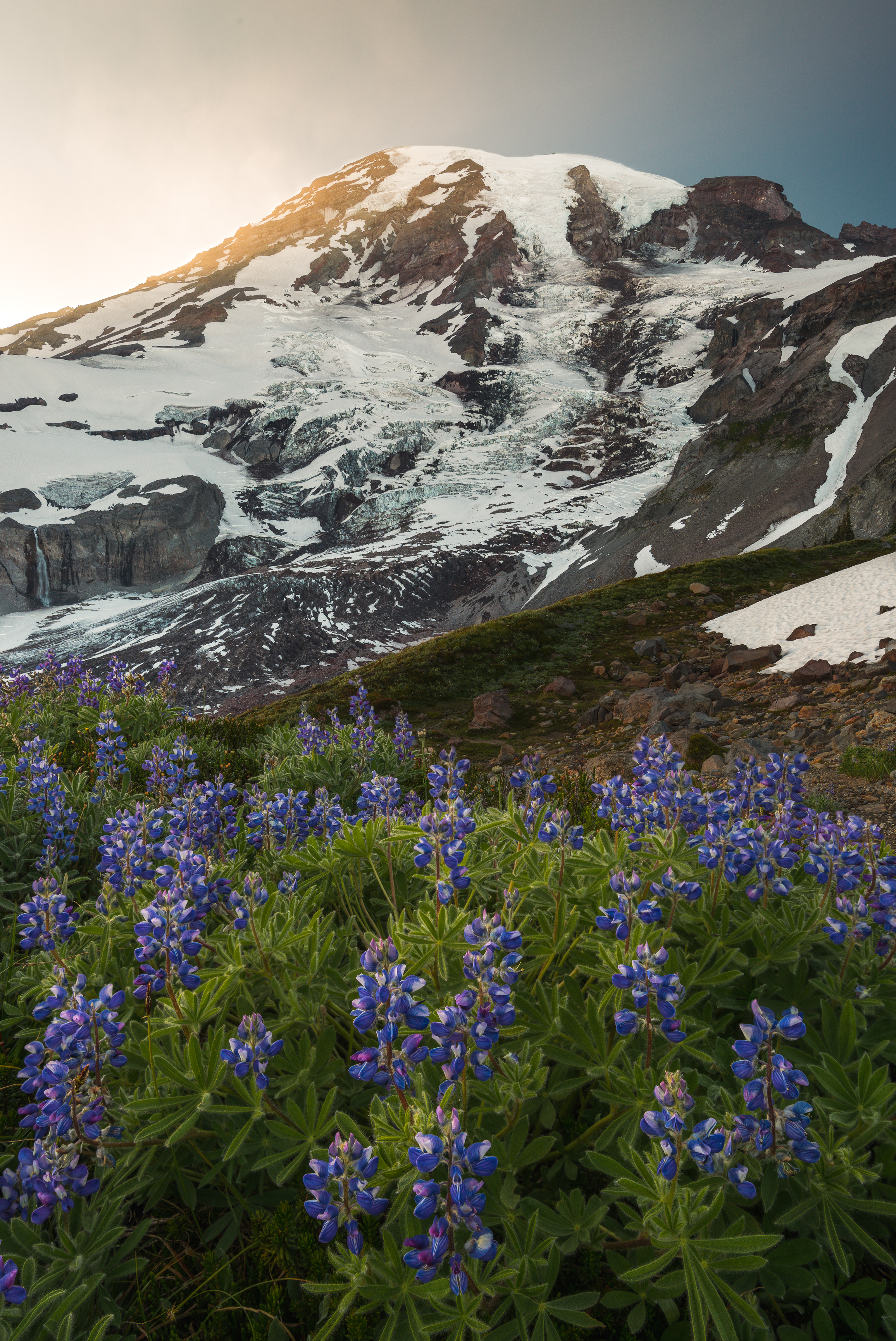 What if Mt. Rainier erupted tomorrow? 