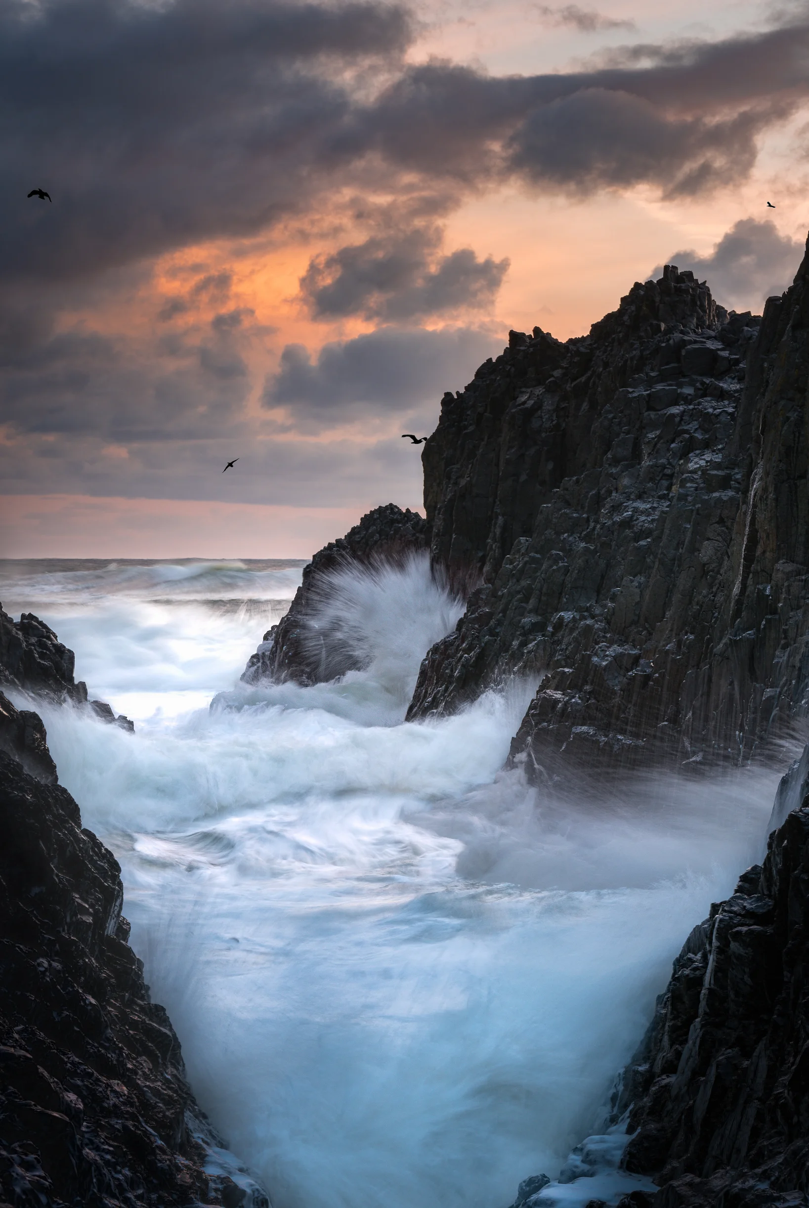 making a splash-1 copy.jpg