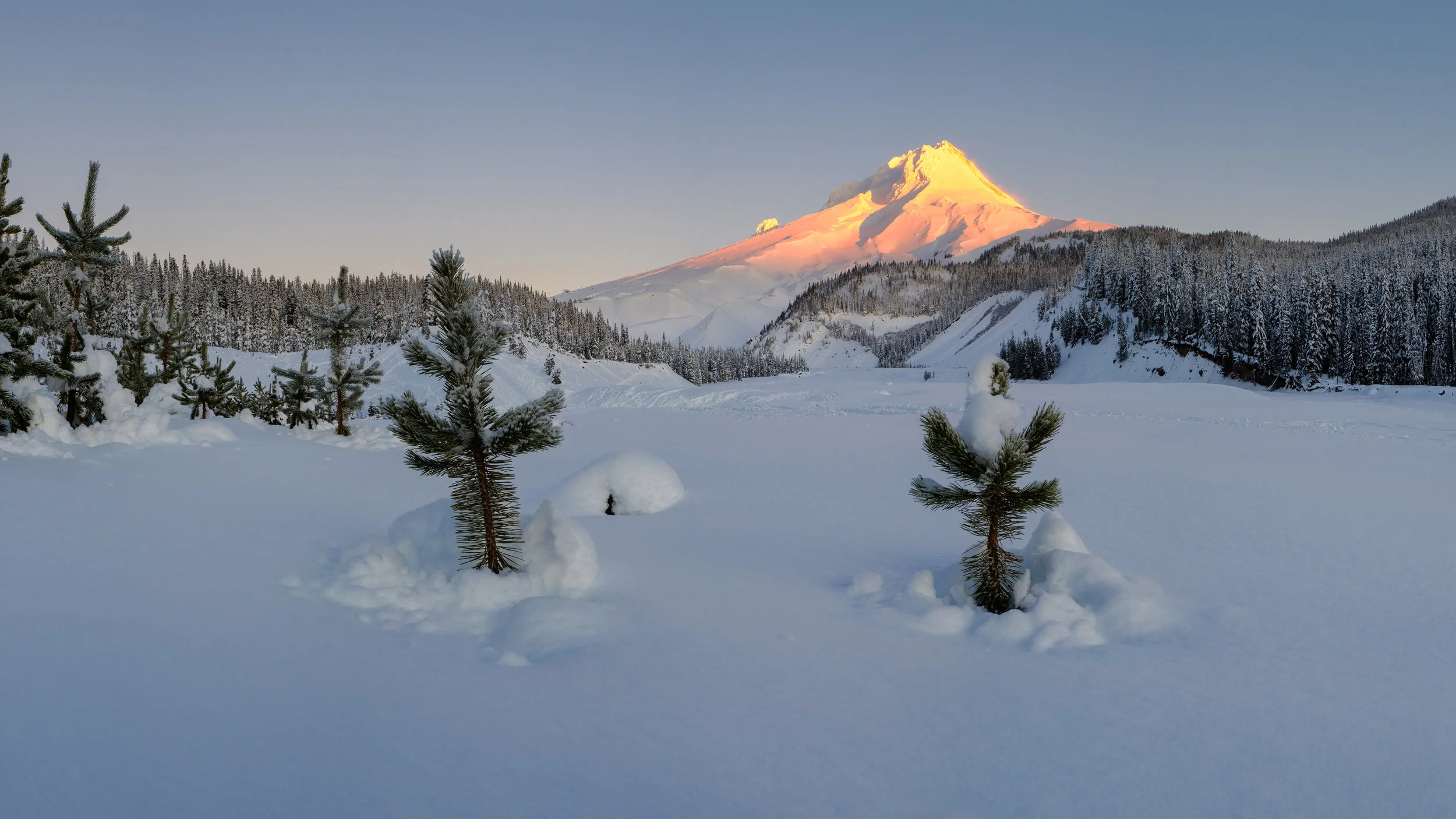 christmas mt hood snow