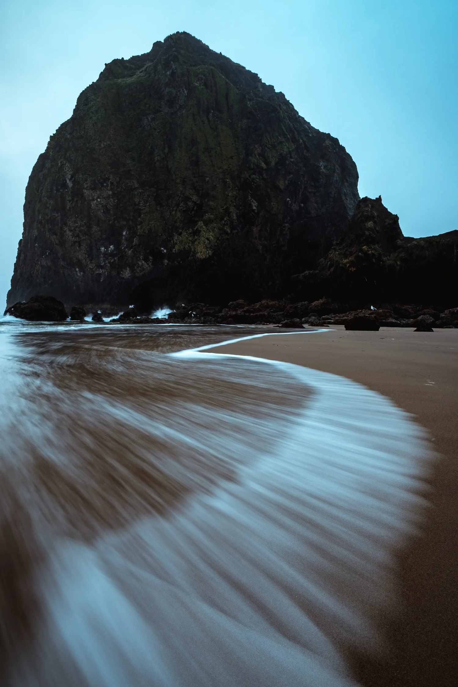Professional vs Amateur Photography 