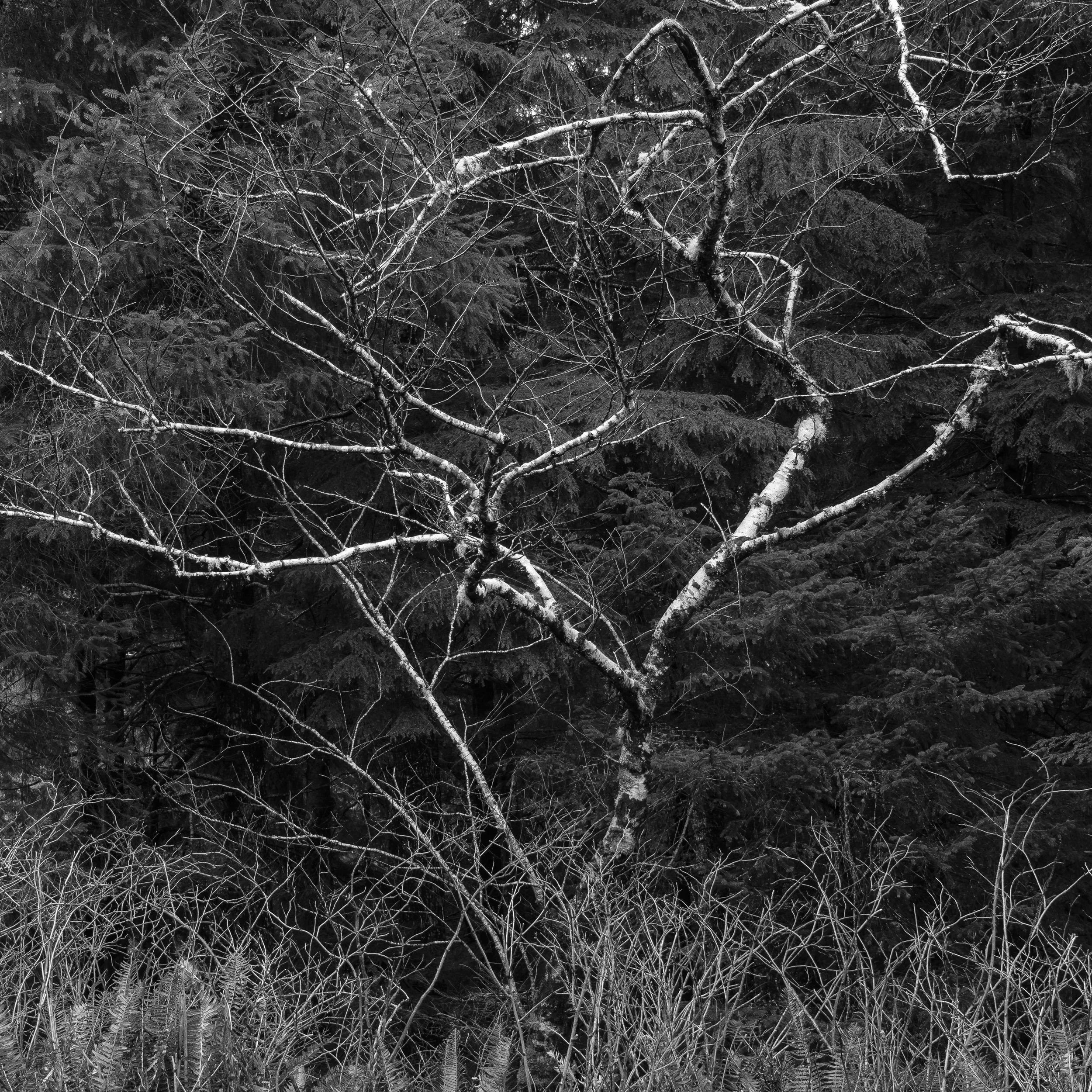Photography is about Mindset 