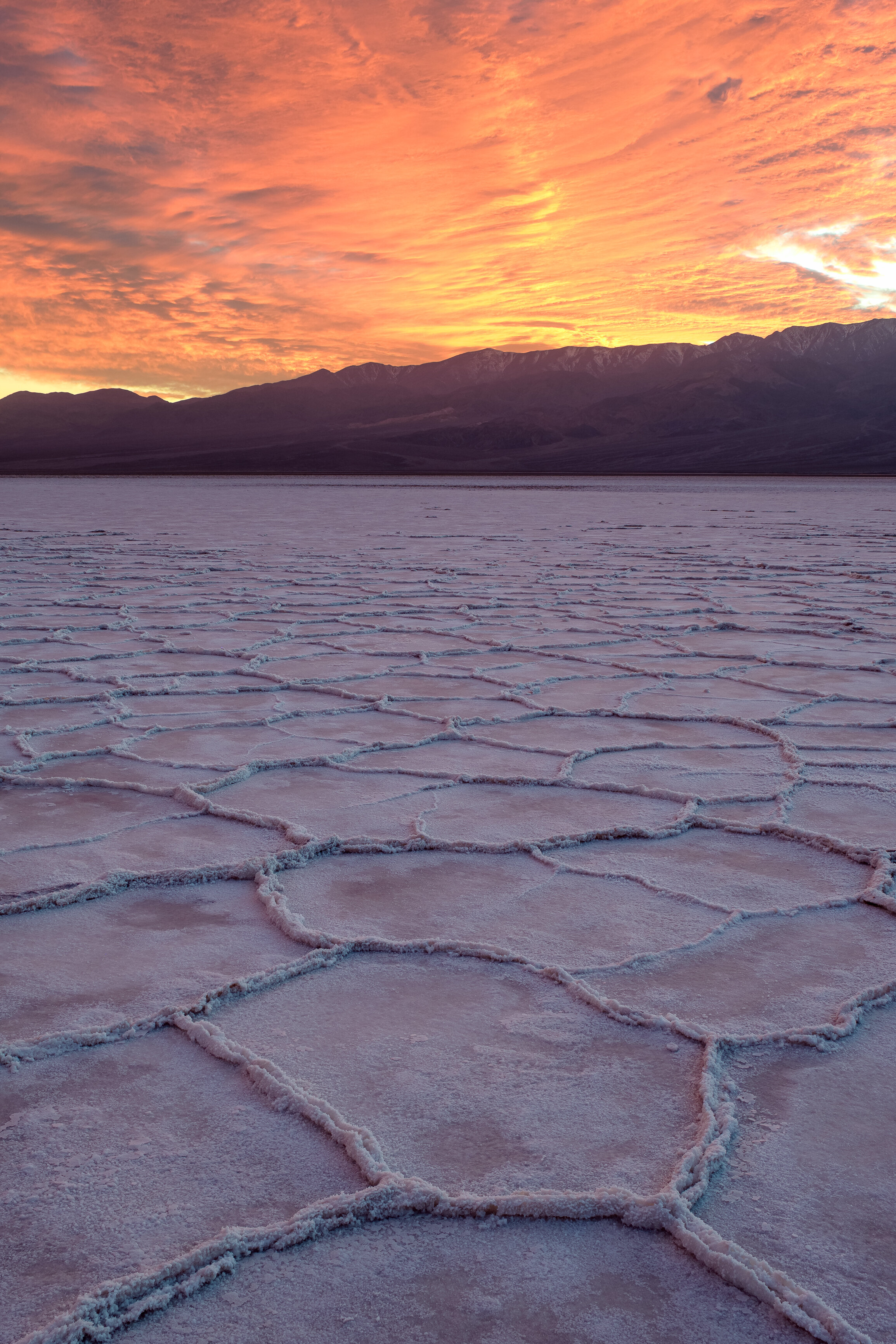 Salty Sunrise