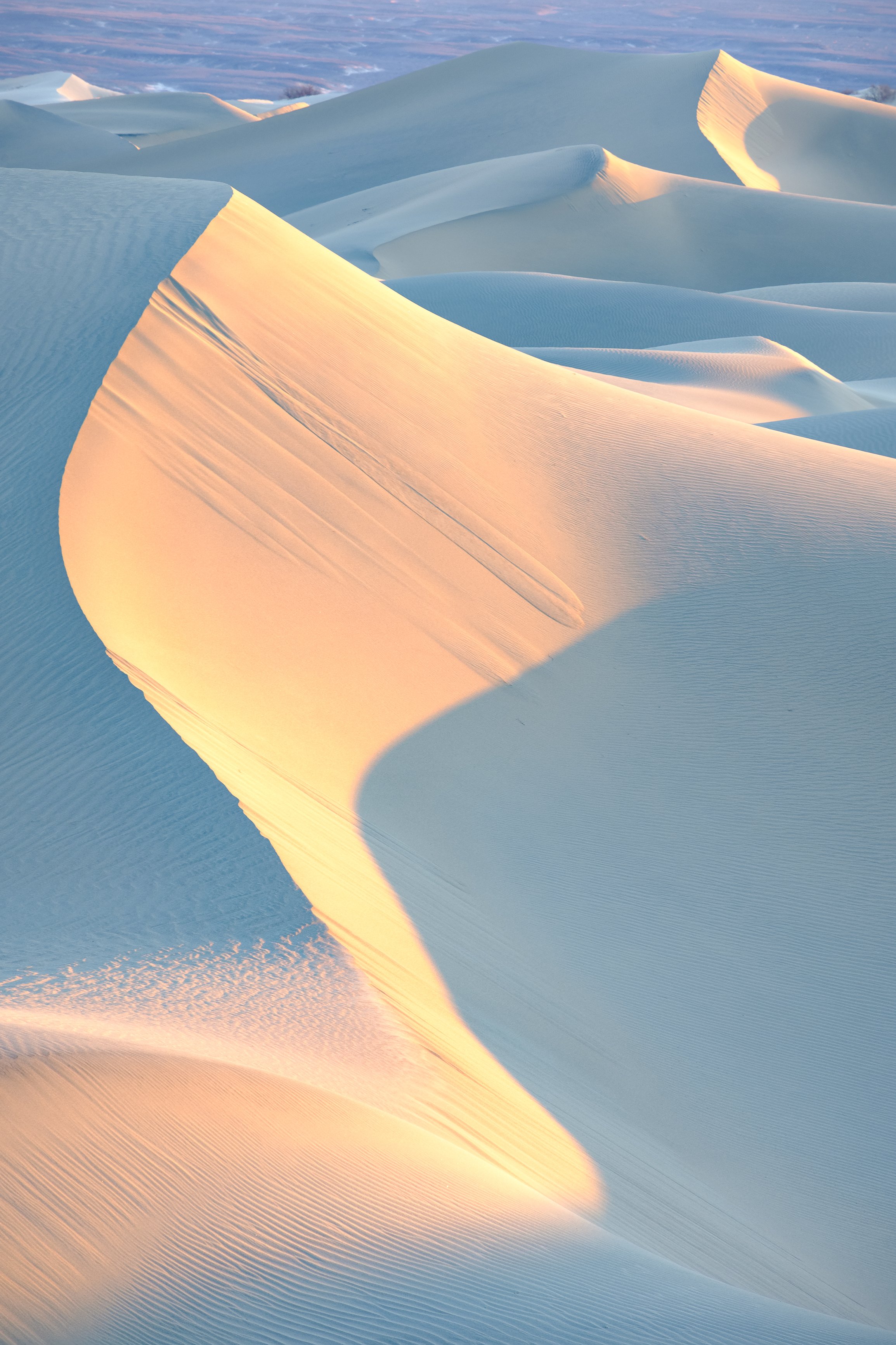 Windy Dunes (online)-10.jpg