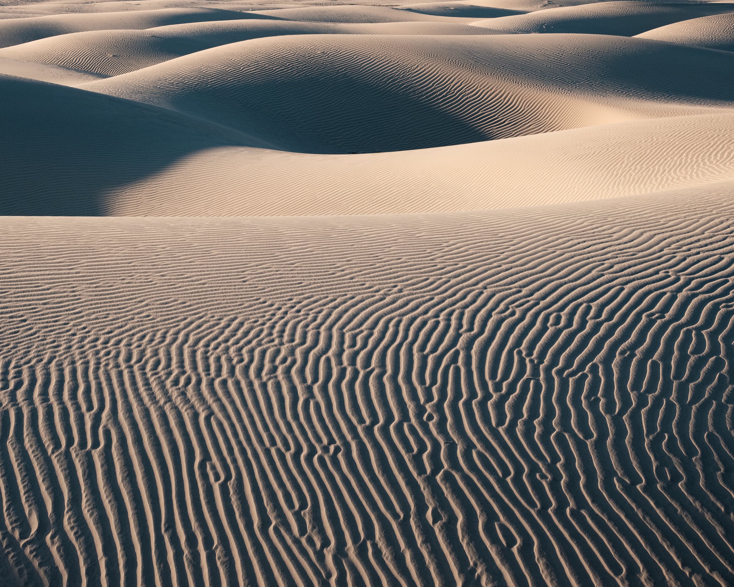 Windy Dunes (online)-16.jpg