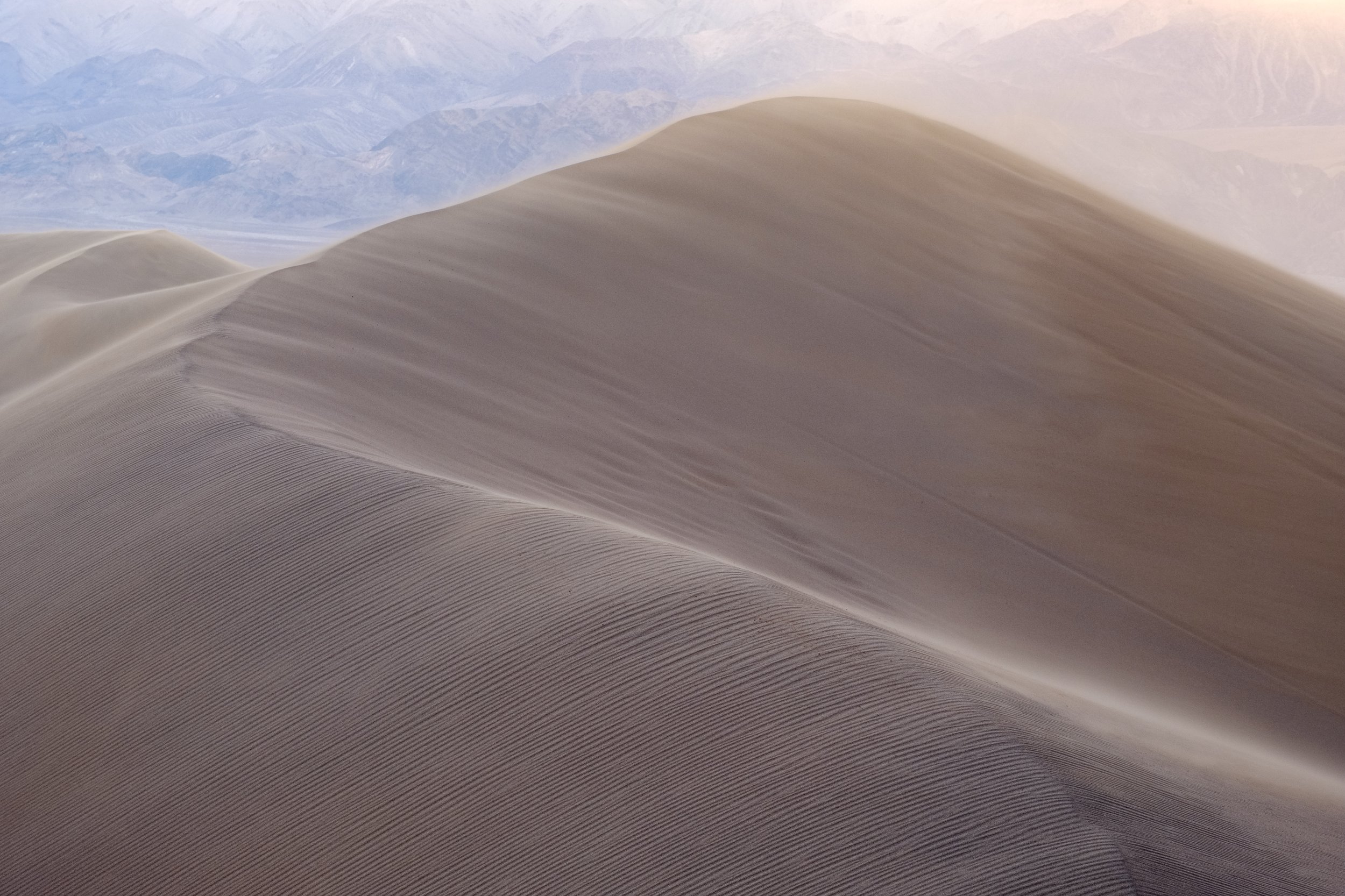 Windy Dunes (online)-7.jpg