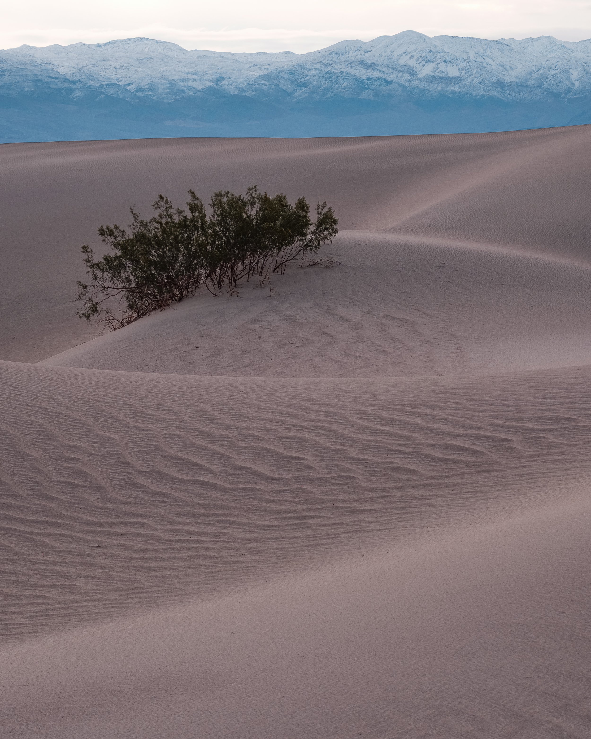 Windy Dunes (online)-8.jpg