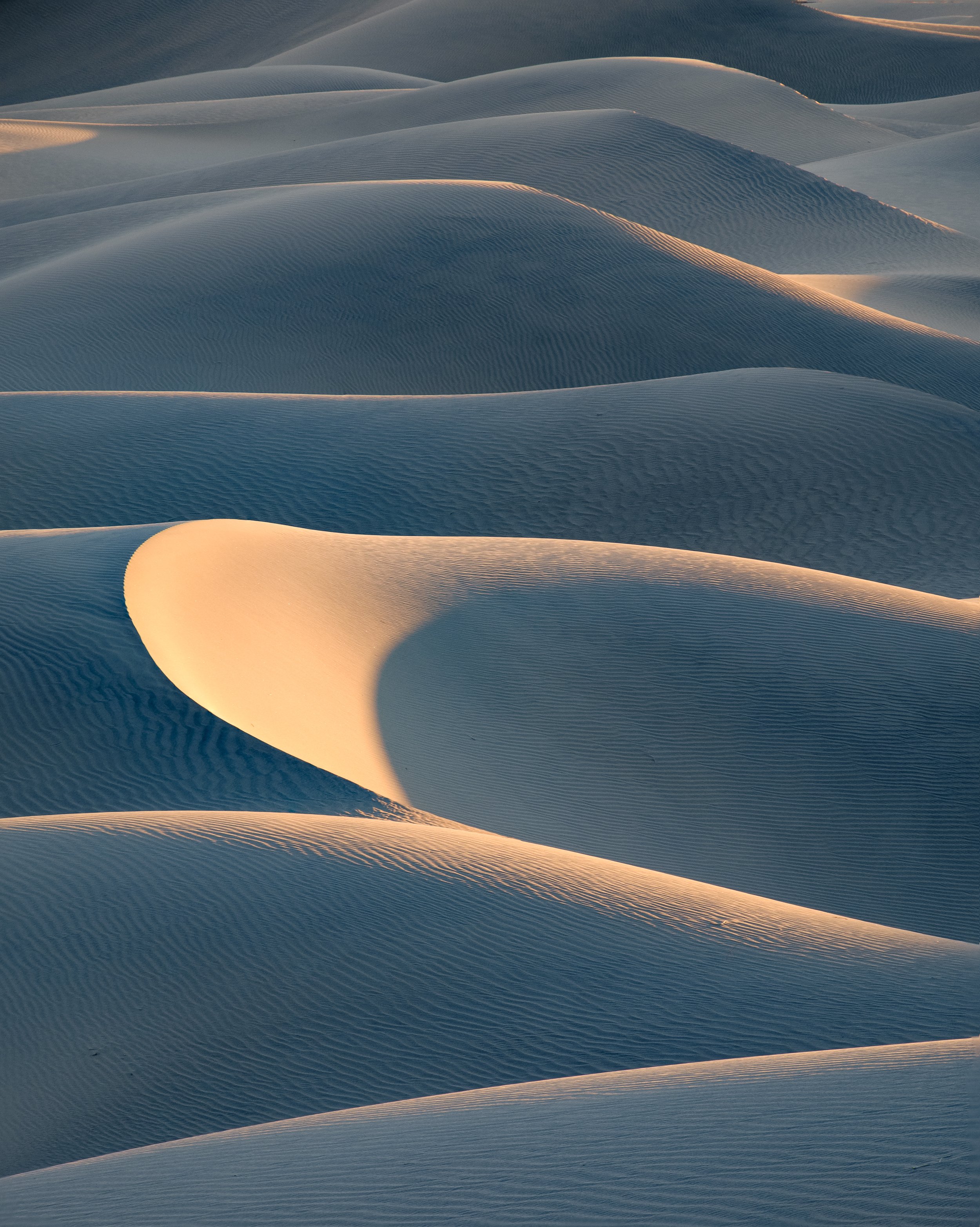 Windy Dunes (online)-12.jpg