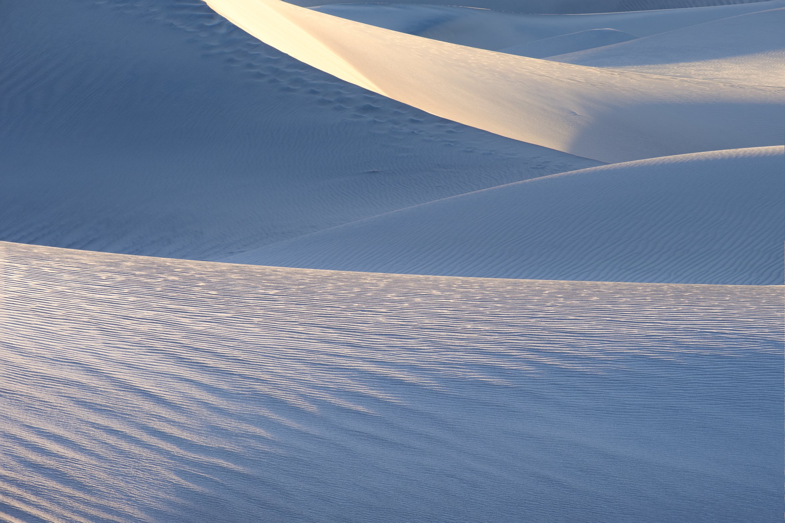 Windy Dunes (online)-4.jpg