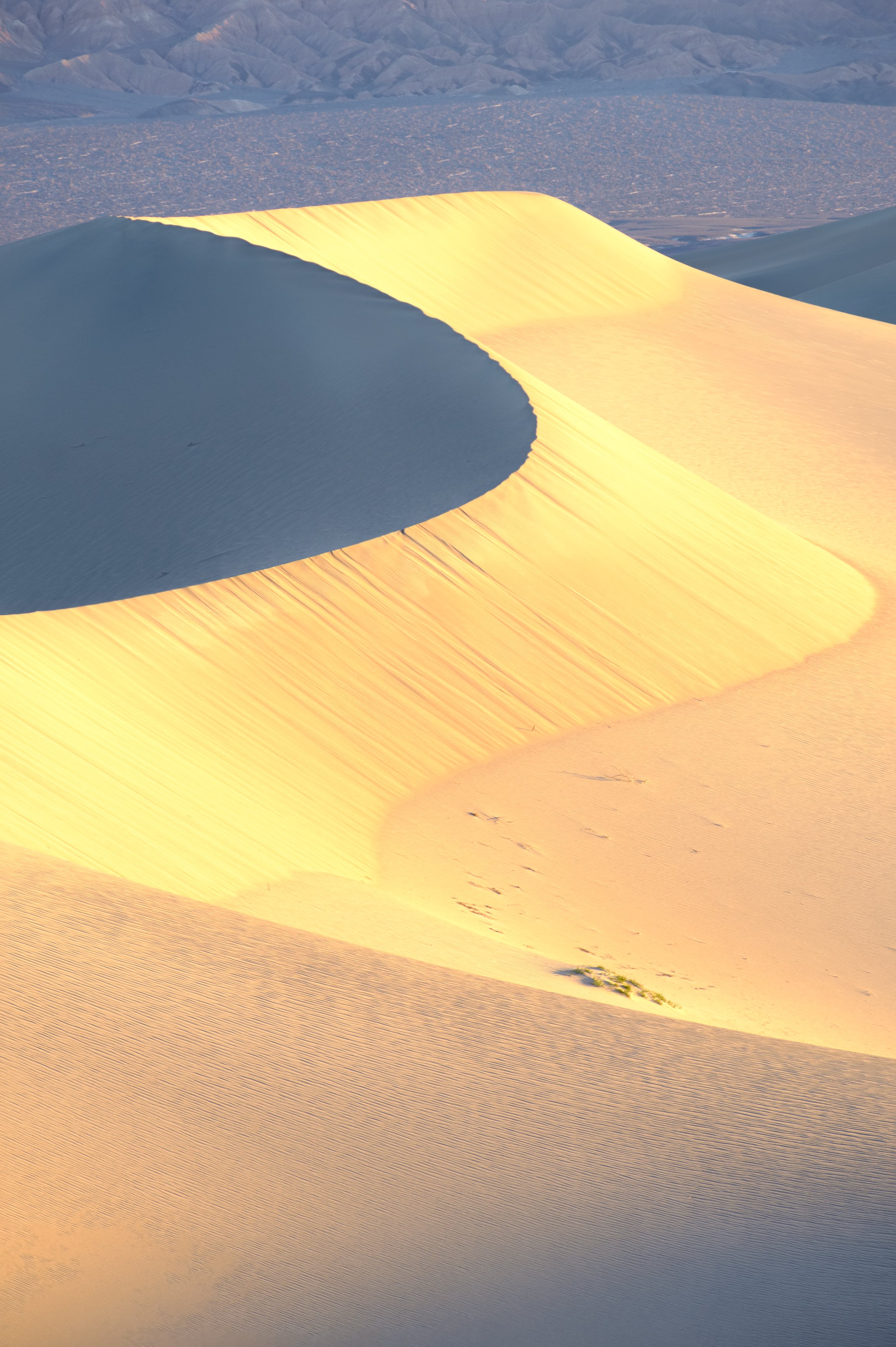 Windy Dunes (online)-3.jpg