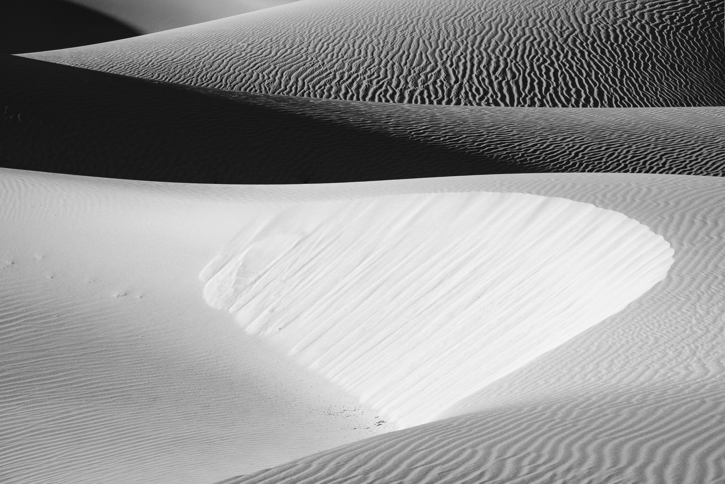 Windy Dunes (online)-19.jpg