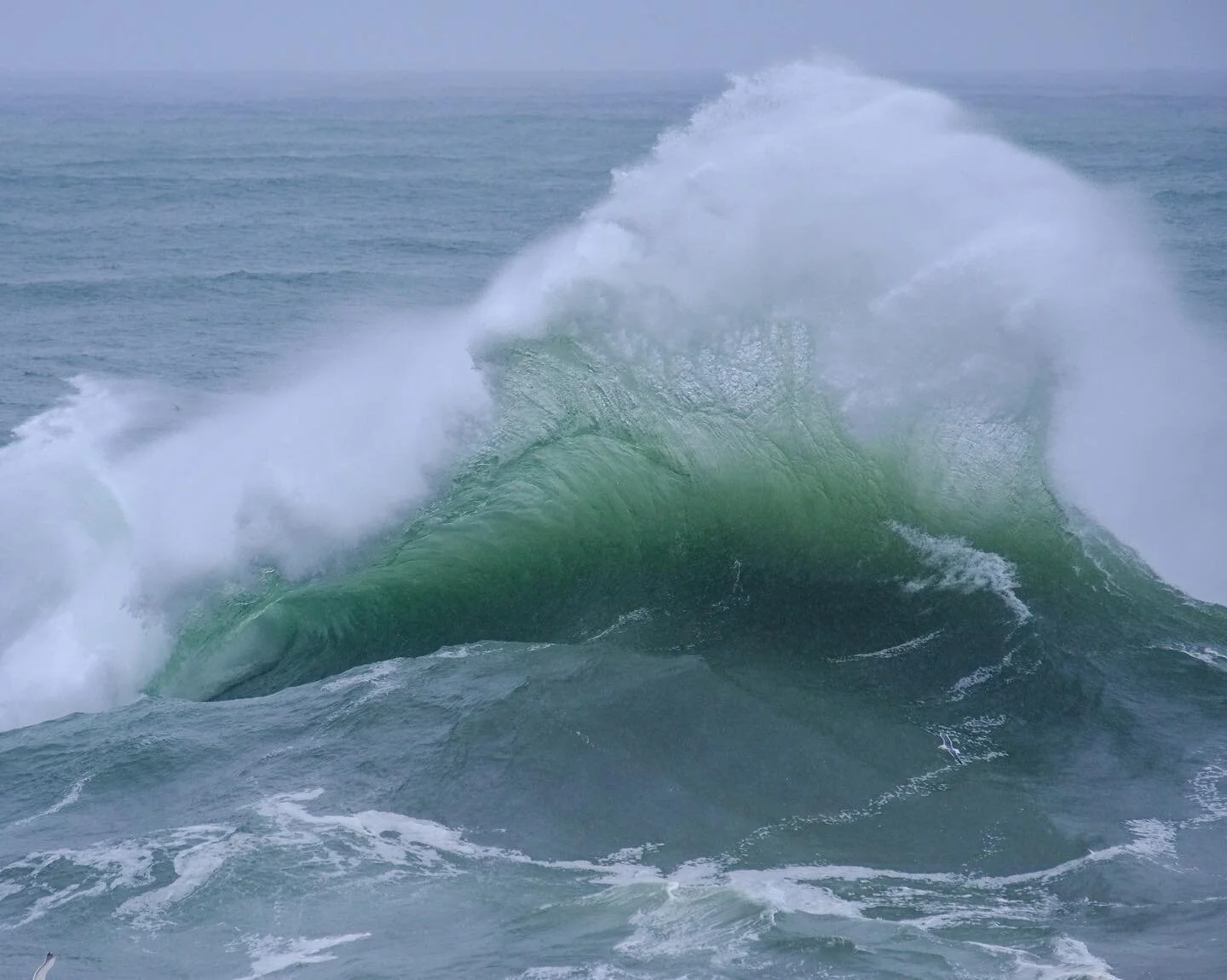 Smile and wave. &bull;
&bull;
&bull;
&bull;
&bull;
#MyFujifilmLegacy #fineart #landscapephotography #mastergallery #contemporaryart #nature #passionpassport #designer #interior #decor #capturelandscapes #landscape #picoftheday #contemporaryart #outdo