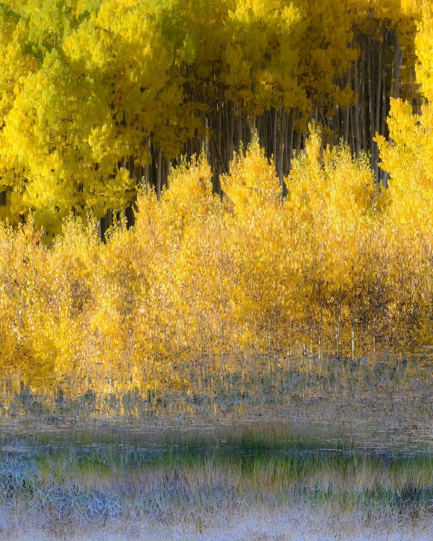 Hazy reflection. &bull;
&bull;
&bull;
&bull;
&bull;
#MyFujifilmLegacy #fineart #landscapephotography #mastergallery #contemporaryart #nature #passionpassport #abstract #interior #intimate_landscape #capture #landscape #landscape #picoftheday #contemp