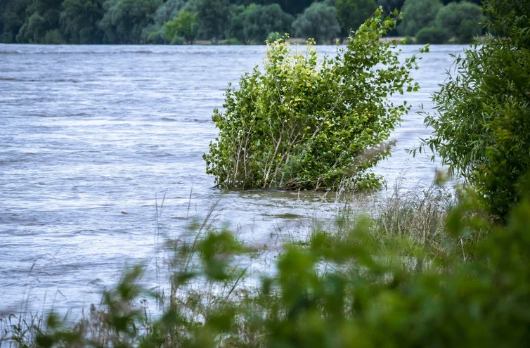 flood3.jpg