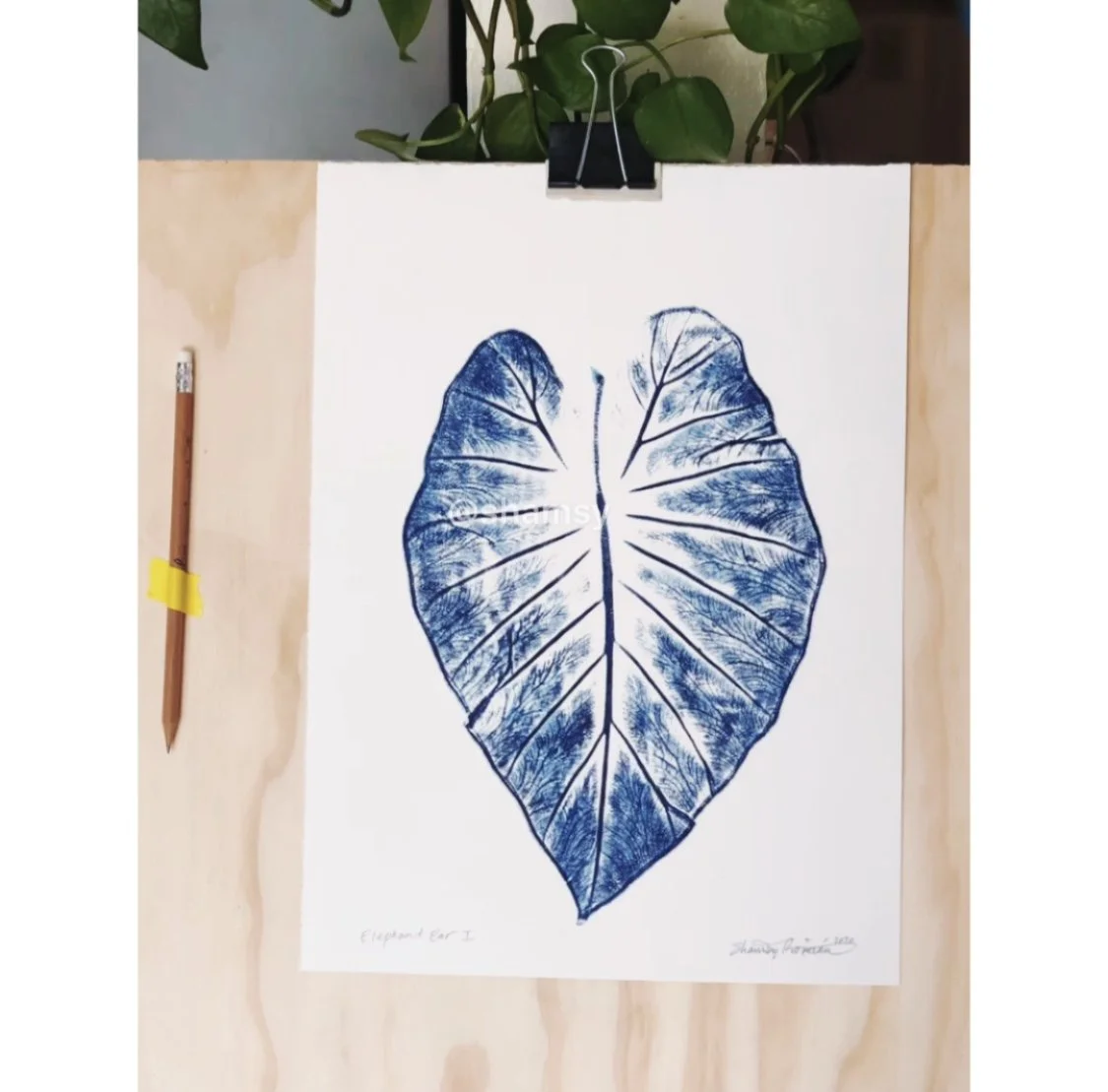 Elephant Ear I by Shamsy.jpg