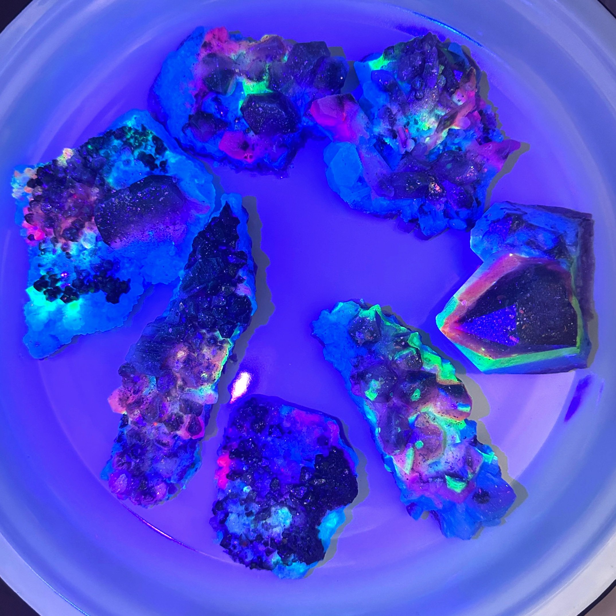 Life+Light+Shamstone+Group+Fluorescence+2.jpg