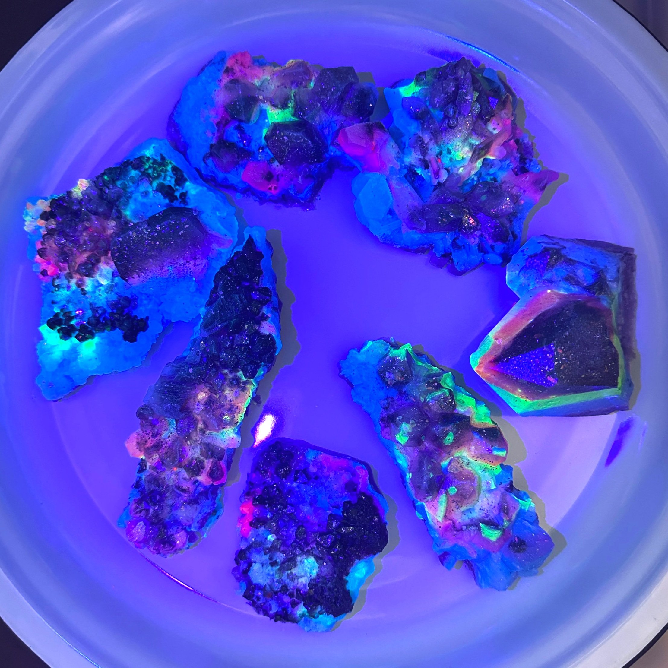 Life+Light+Shamstone+Group+Fluorescence+2.jpg