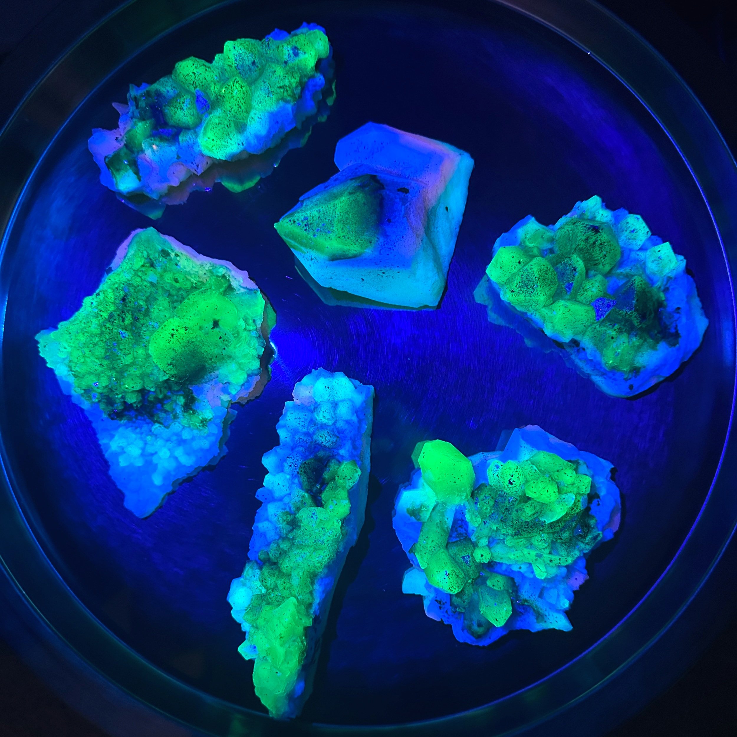 Tidepool+Shamstone+group+fluorescence.jpg