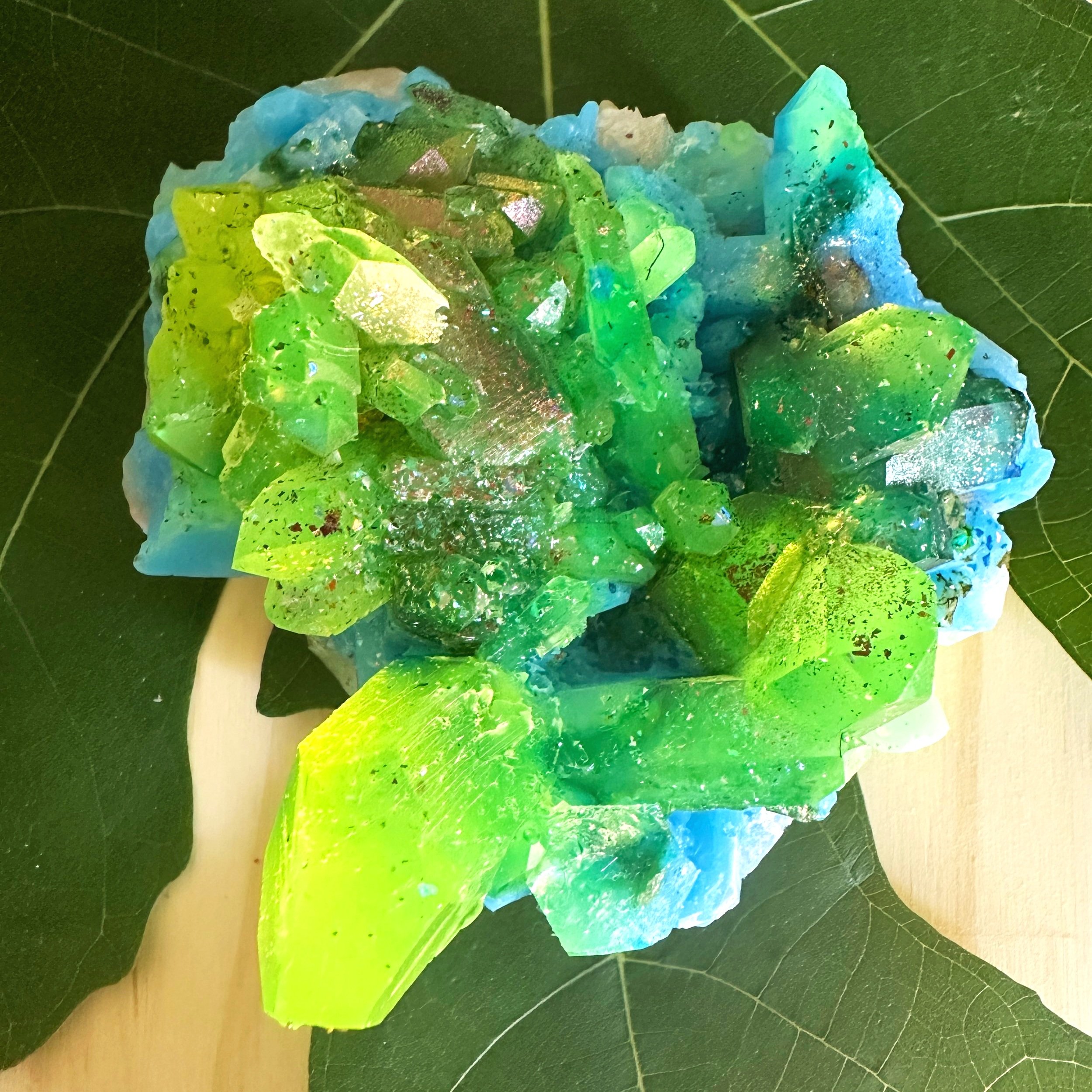 Tidepool+Shamstone+2.3.jpg