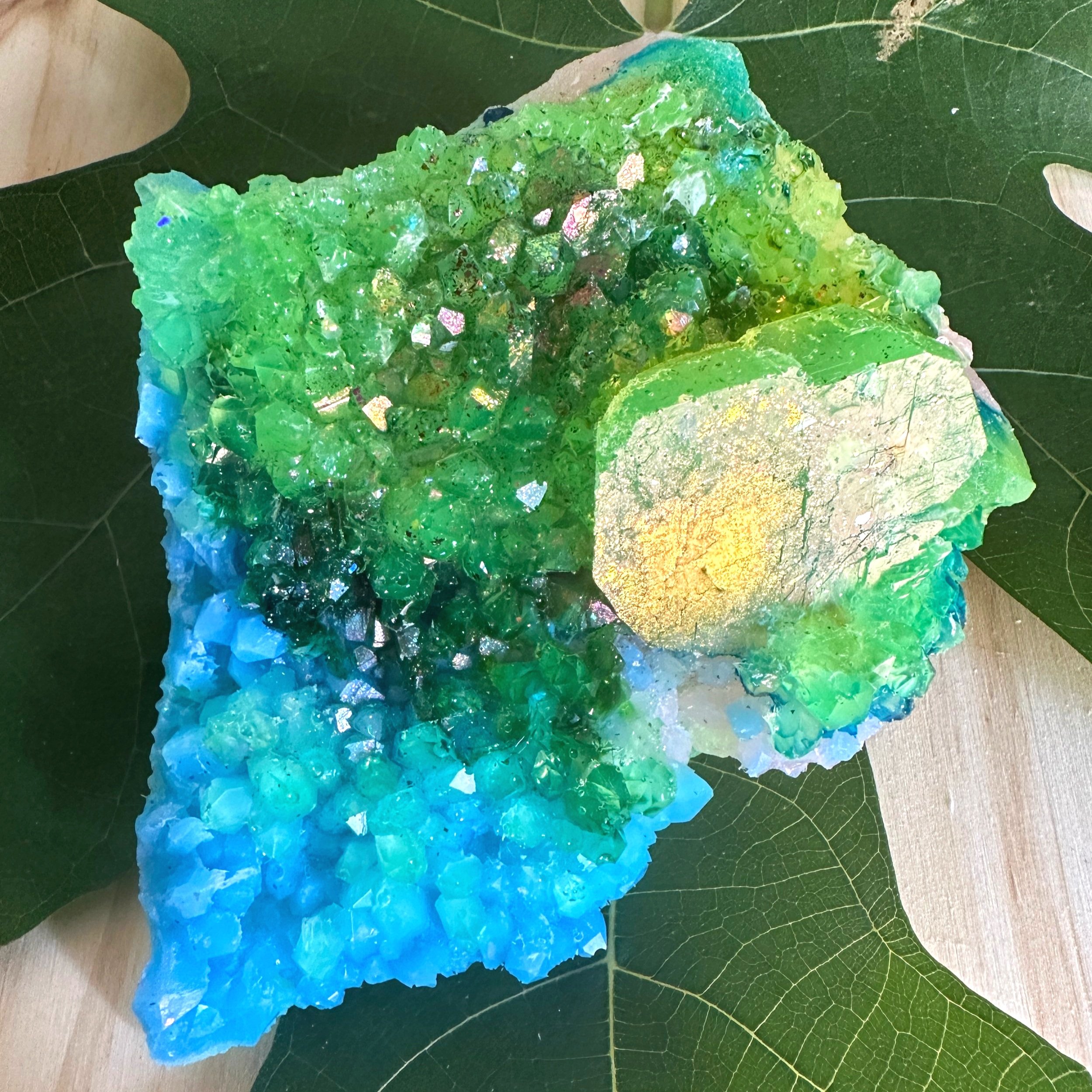 Tidepool+Shamstone+4.2.jpg