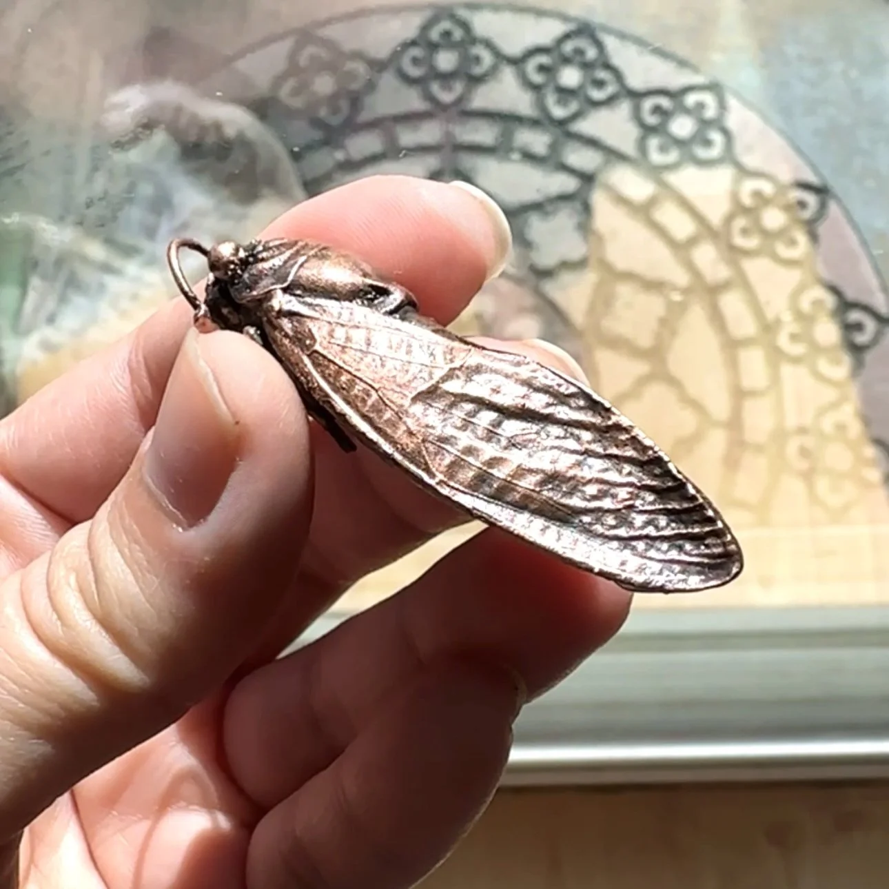 Charmed Cicada Shamsy 3.JPG