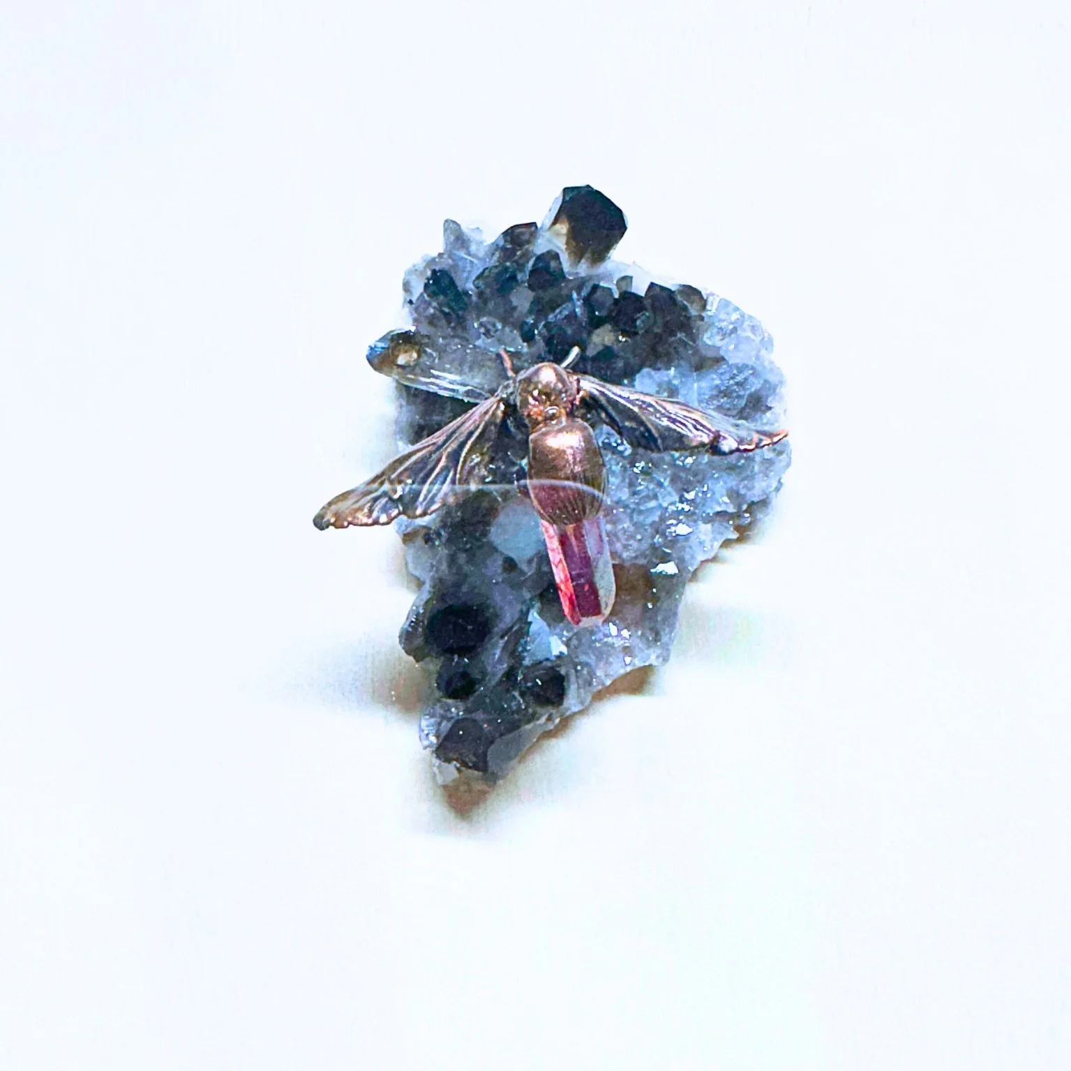 Cicada Killer Wasp and Smoky Quartz.jpg