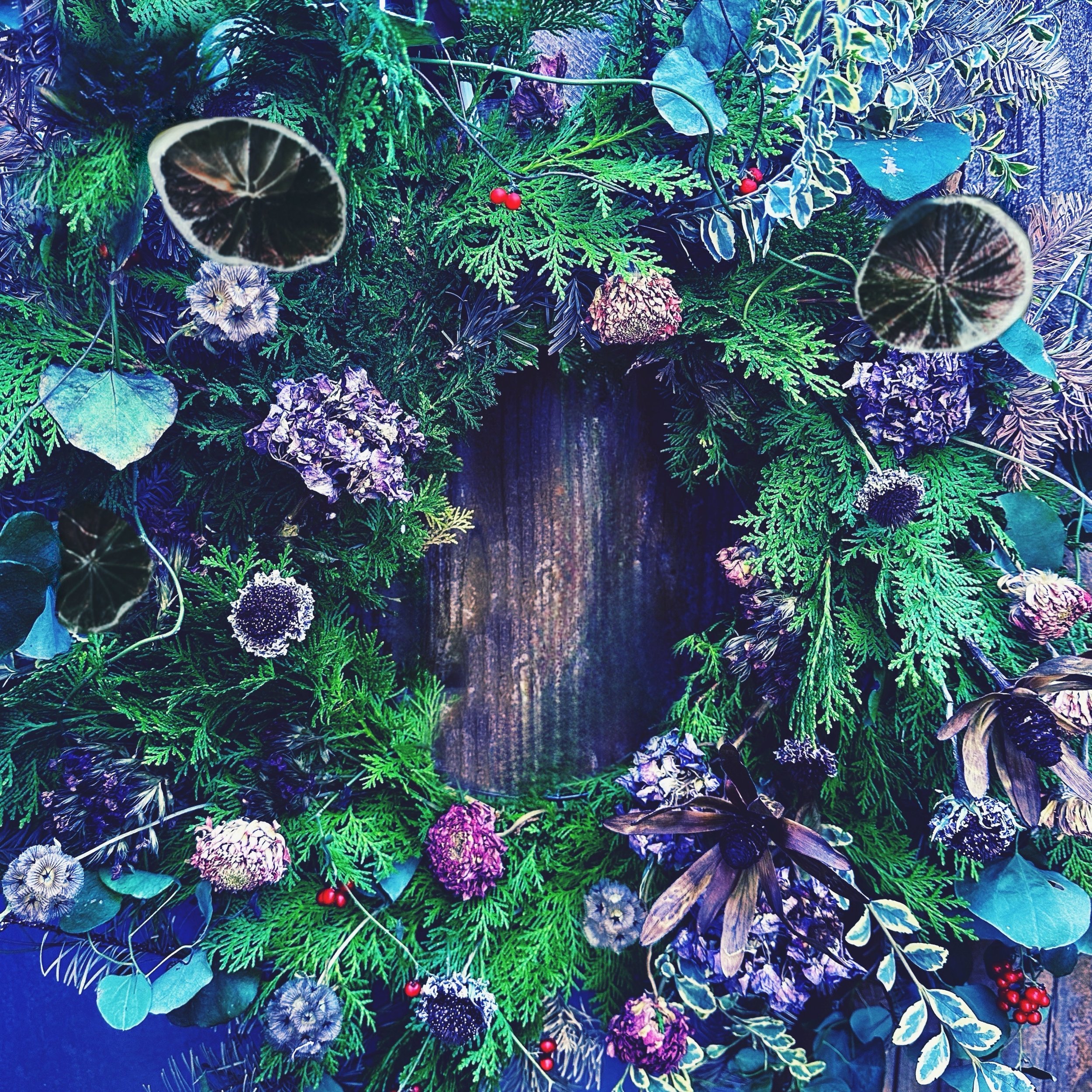 Winter Solstice Wreaths with Shamsy.jpg