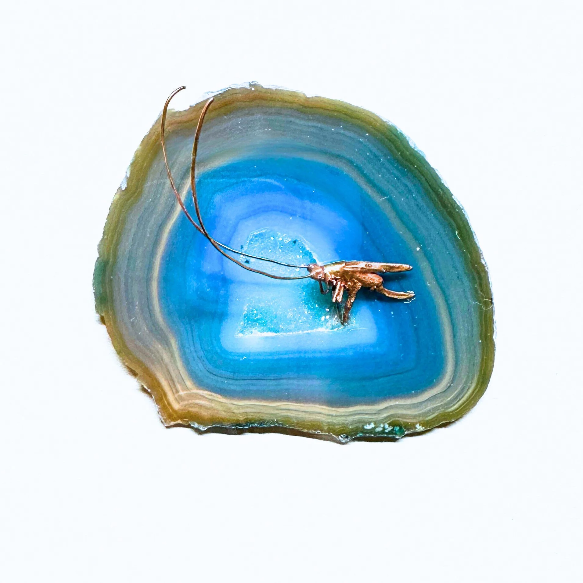 Katydid and Blue Agate.jpg