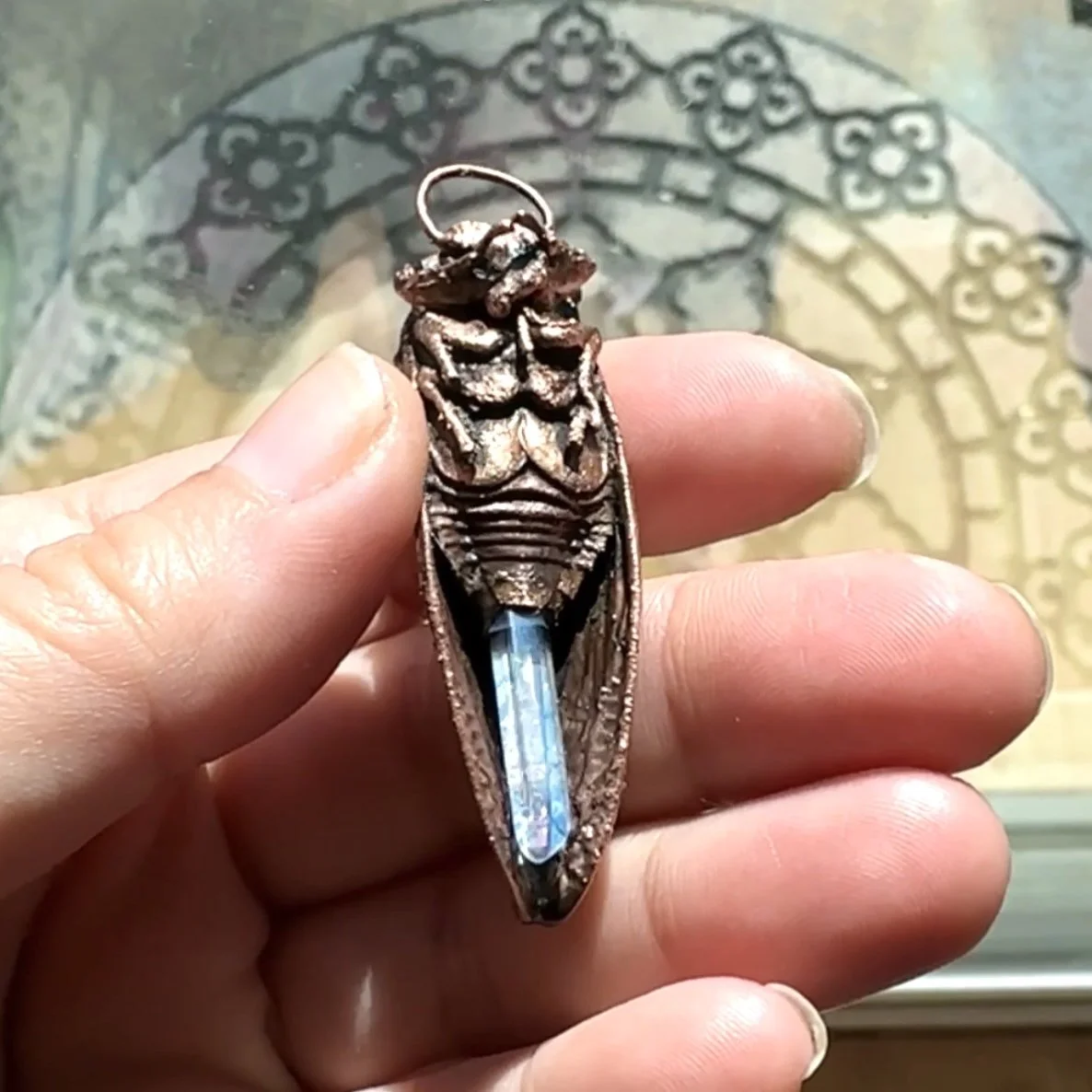 Charmed Cicada Shamsy.JPG