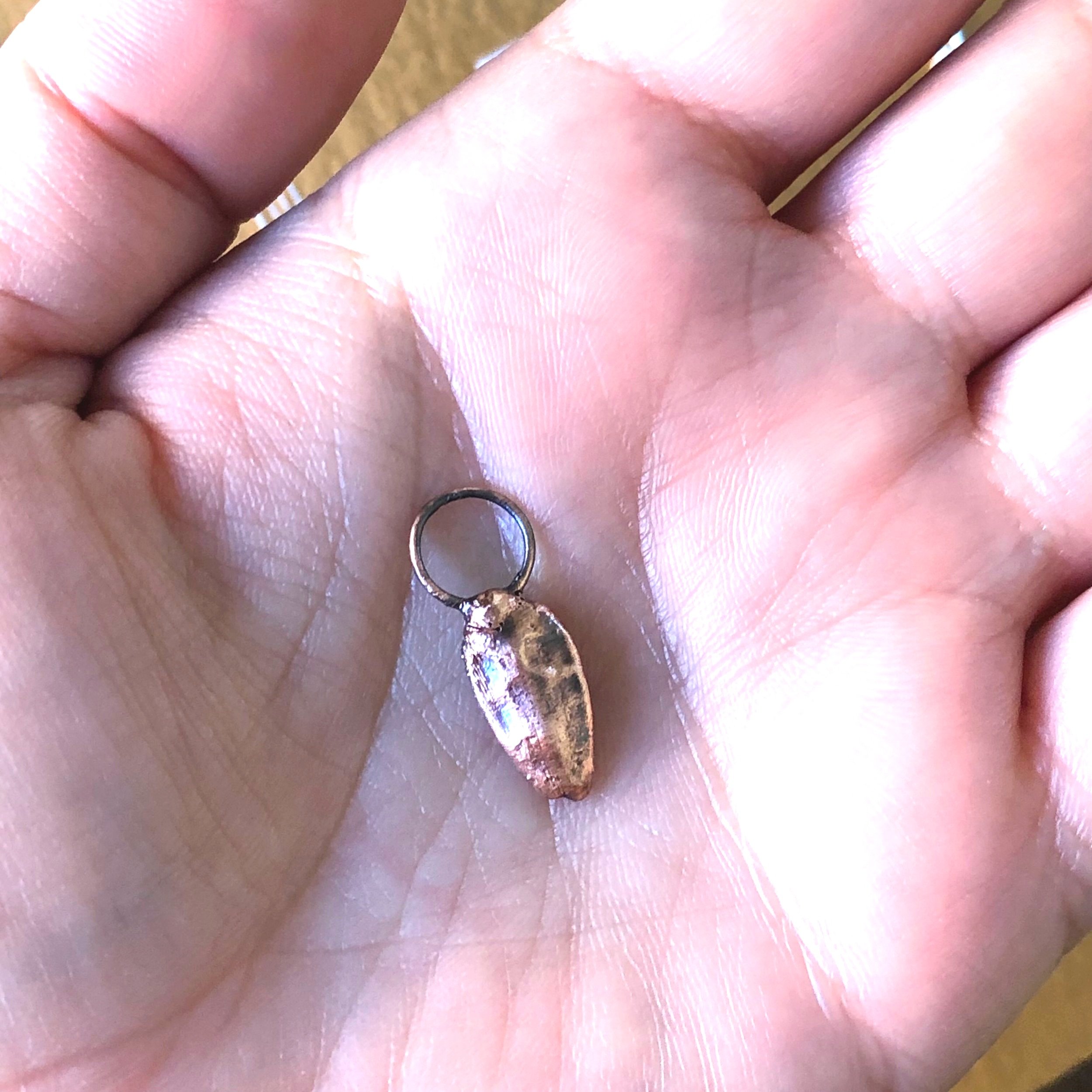 sunflower+seed+shamsy+necklace+3.jpg