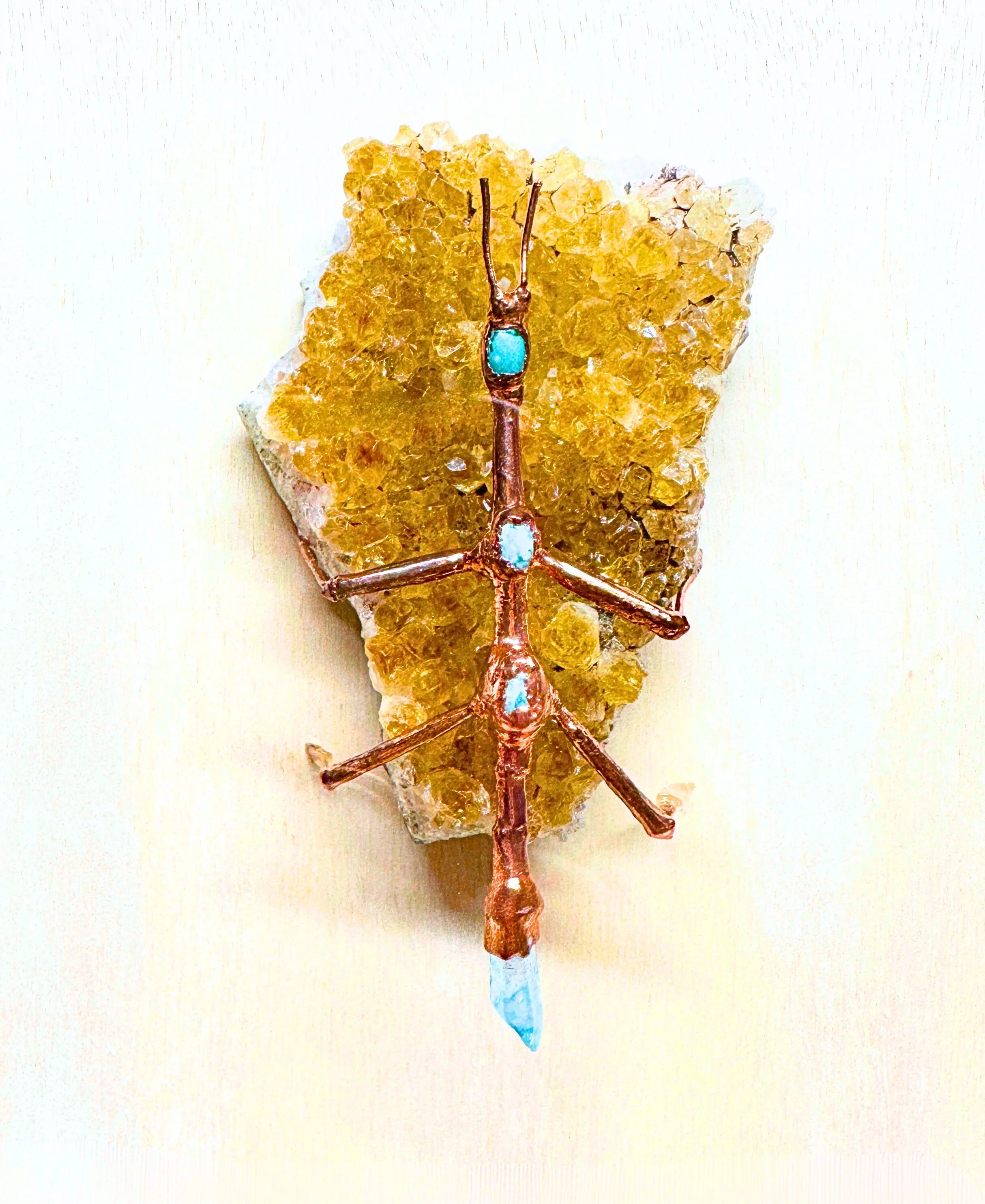 Stick Bug and Citrine.jpg